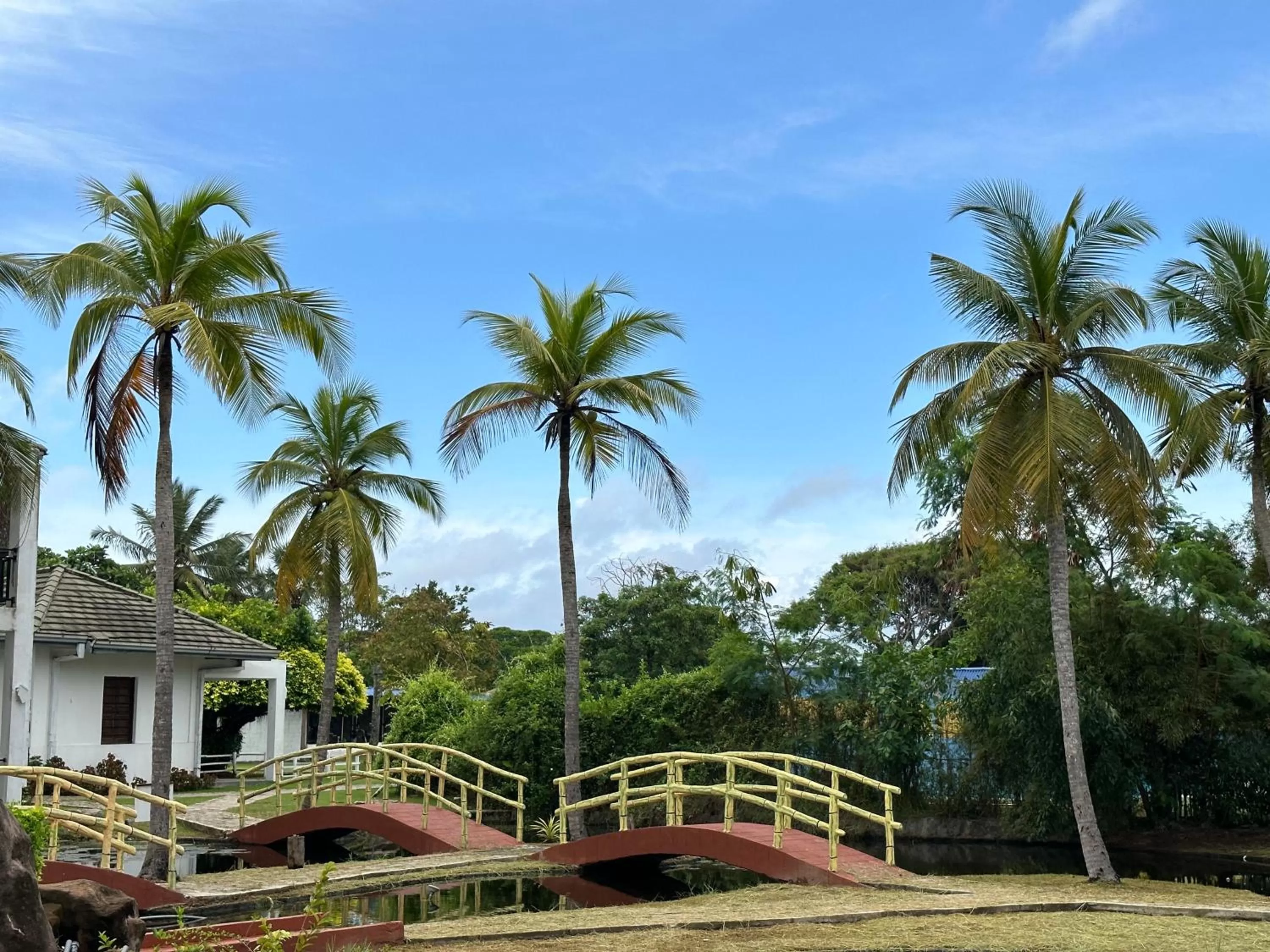 Property building in Amaluna Resorts