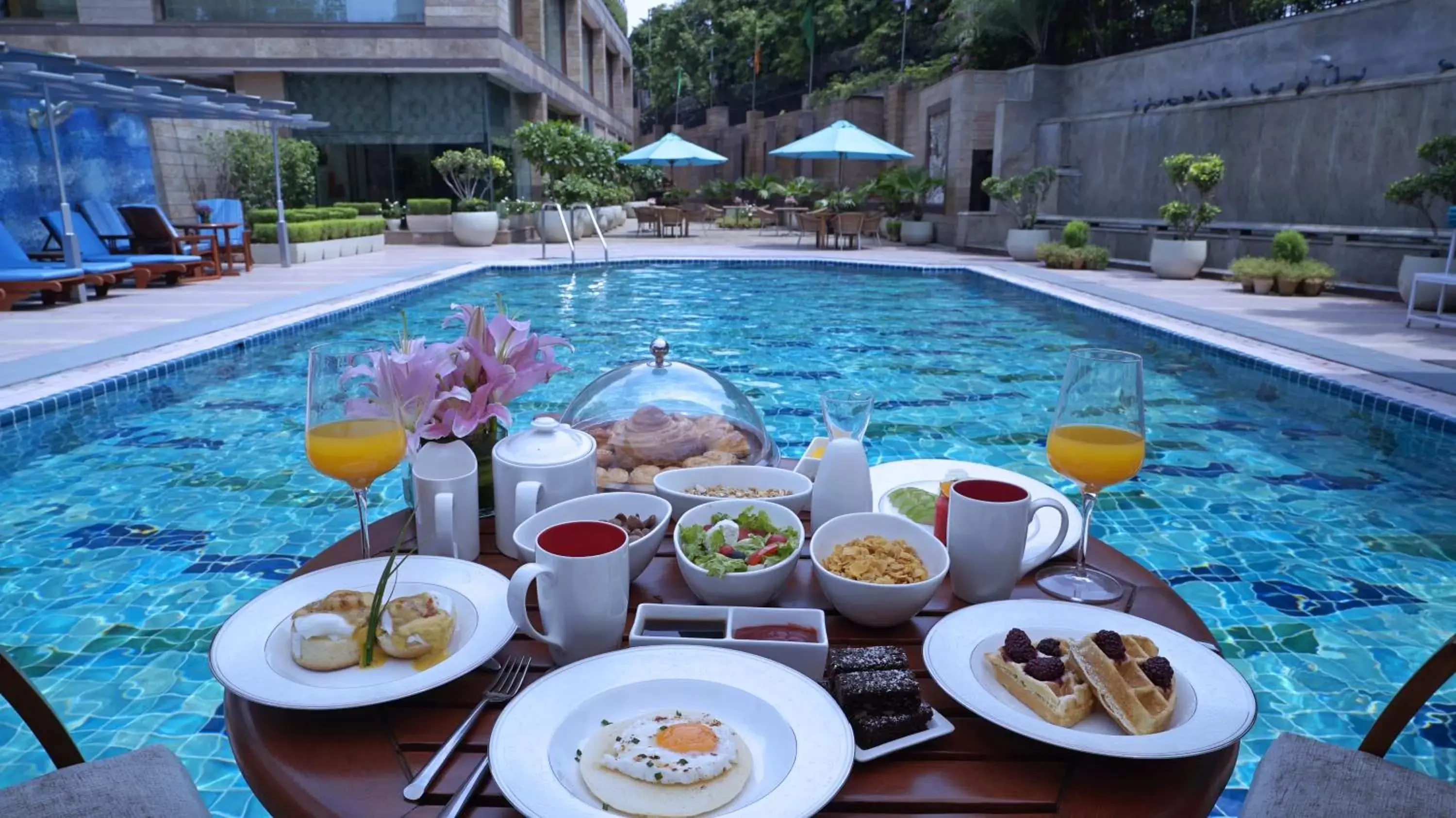 Swimming Pool in Jaypee Siddharth Hotel