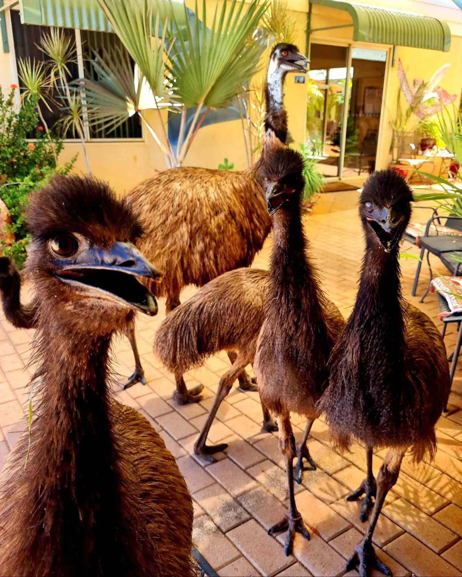 Day in Ningaloo Lodge Exmouth