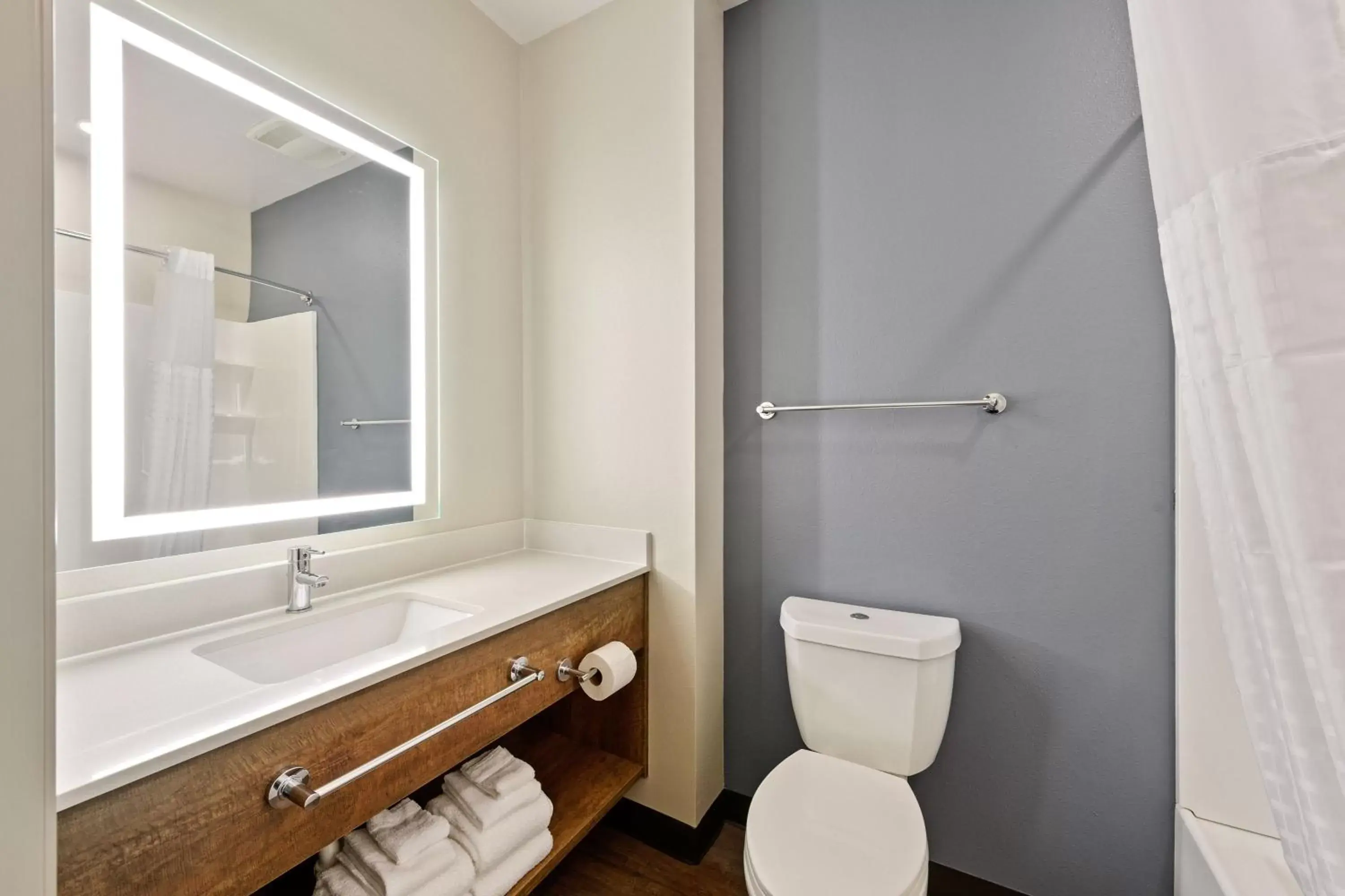 Bathroom in Extended Stay America Premier Suites - Savannah - Pooler