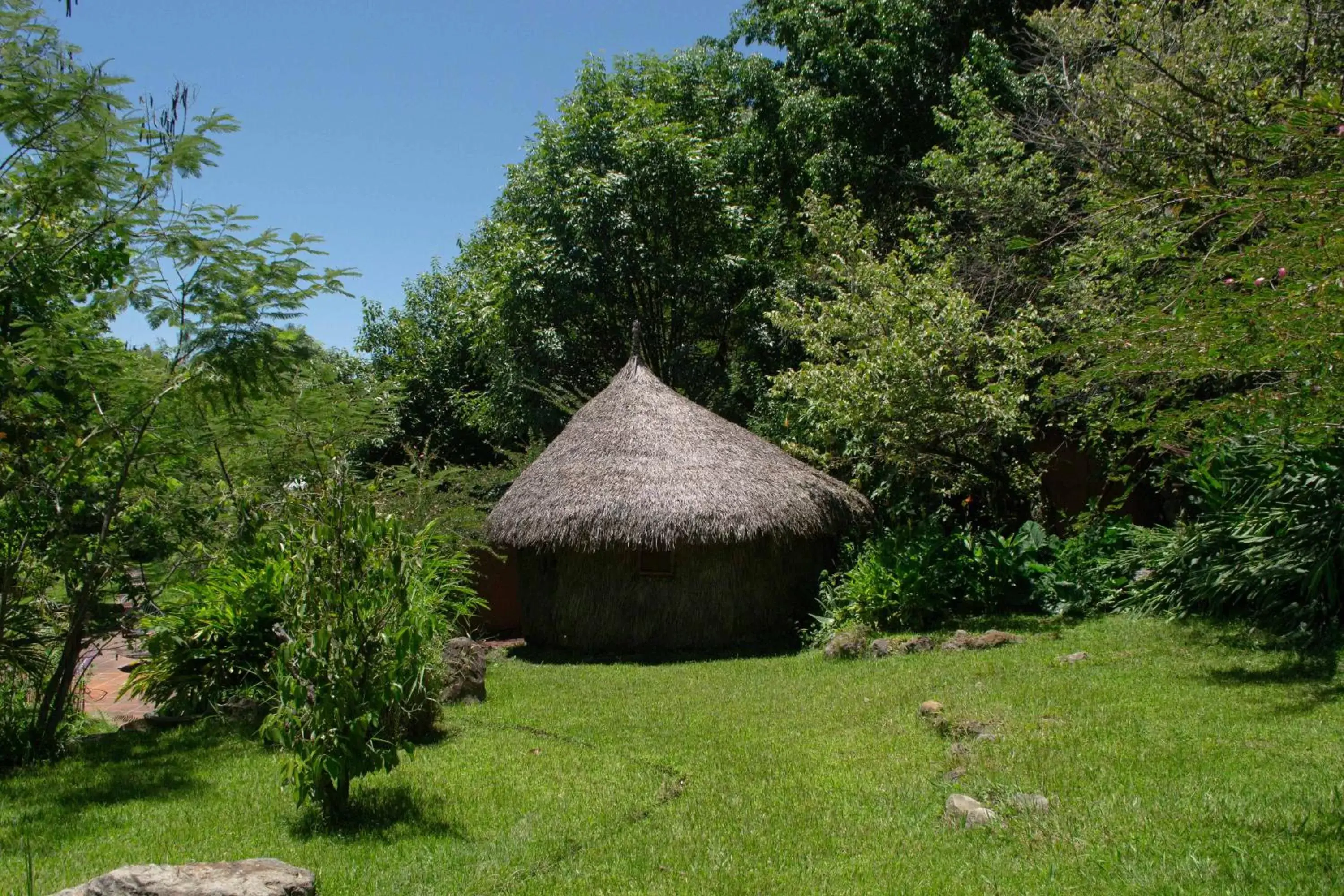 Garden in Yolitia Wellness