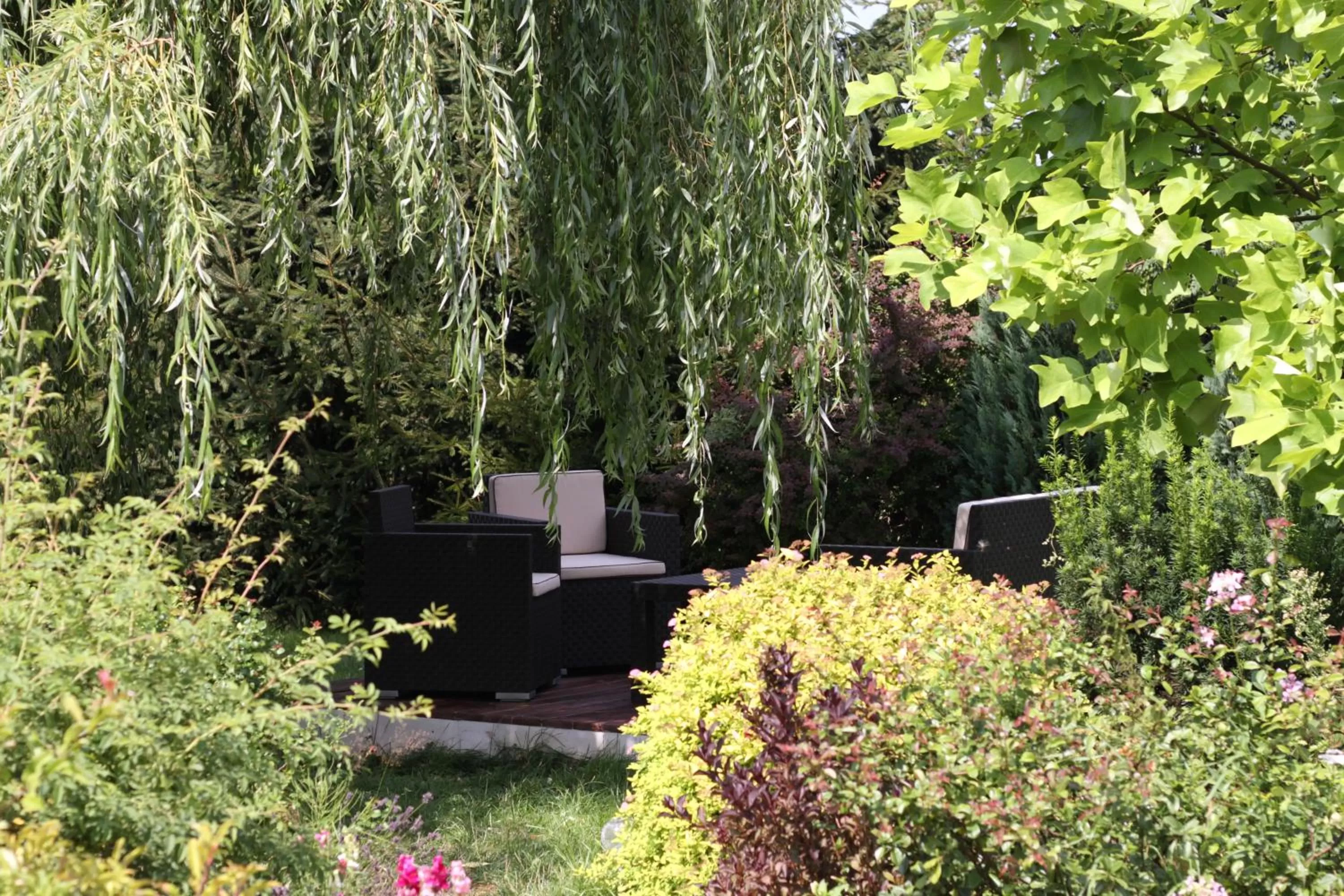 Restaurant/places to eat in Gościniec pod Kłosem