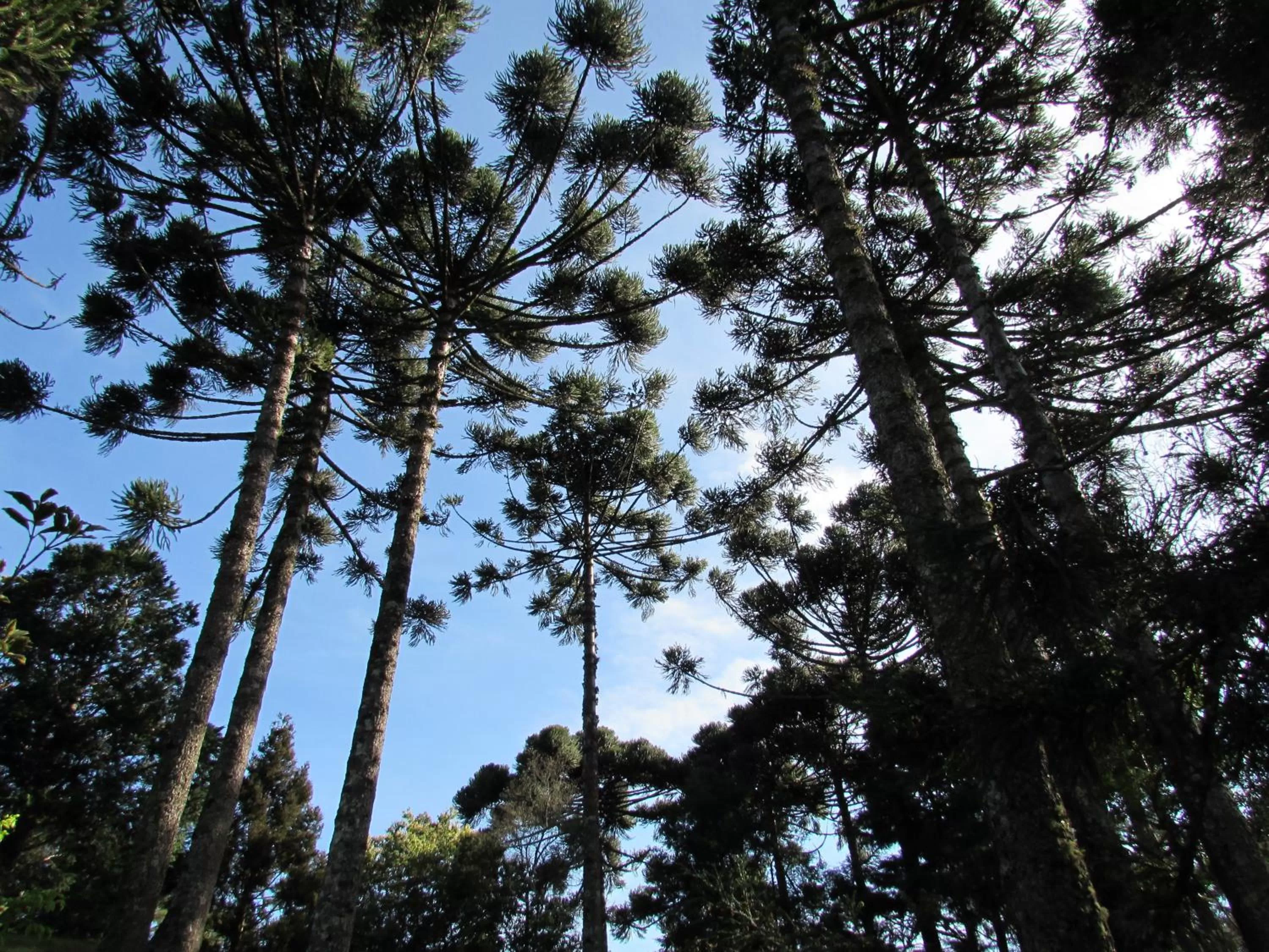 Property building in Hotel Jardins da Colina