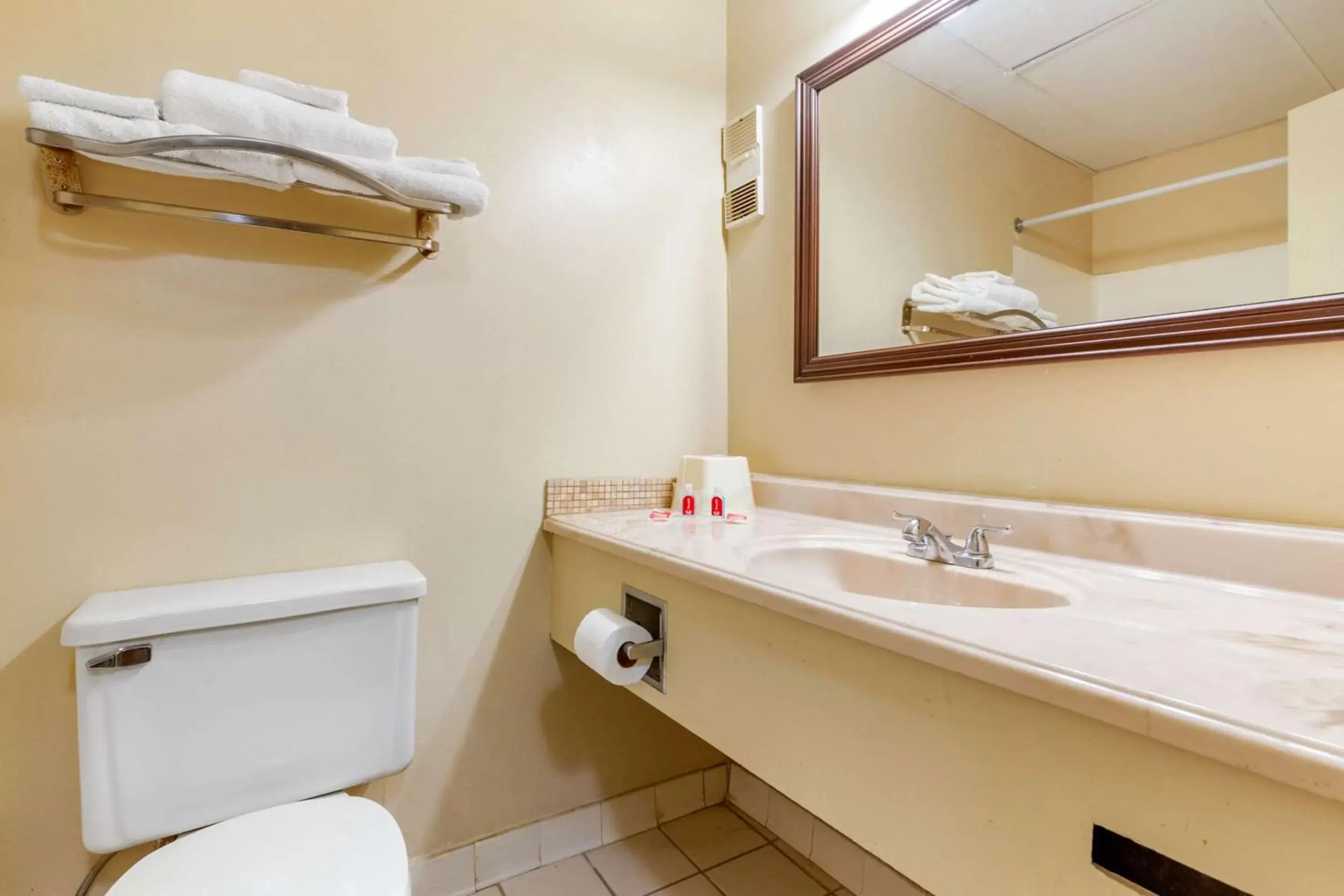 Bathroom in Econo Lodge Burlington I-40