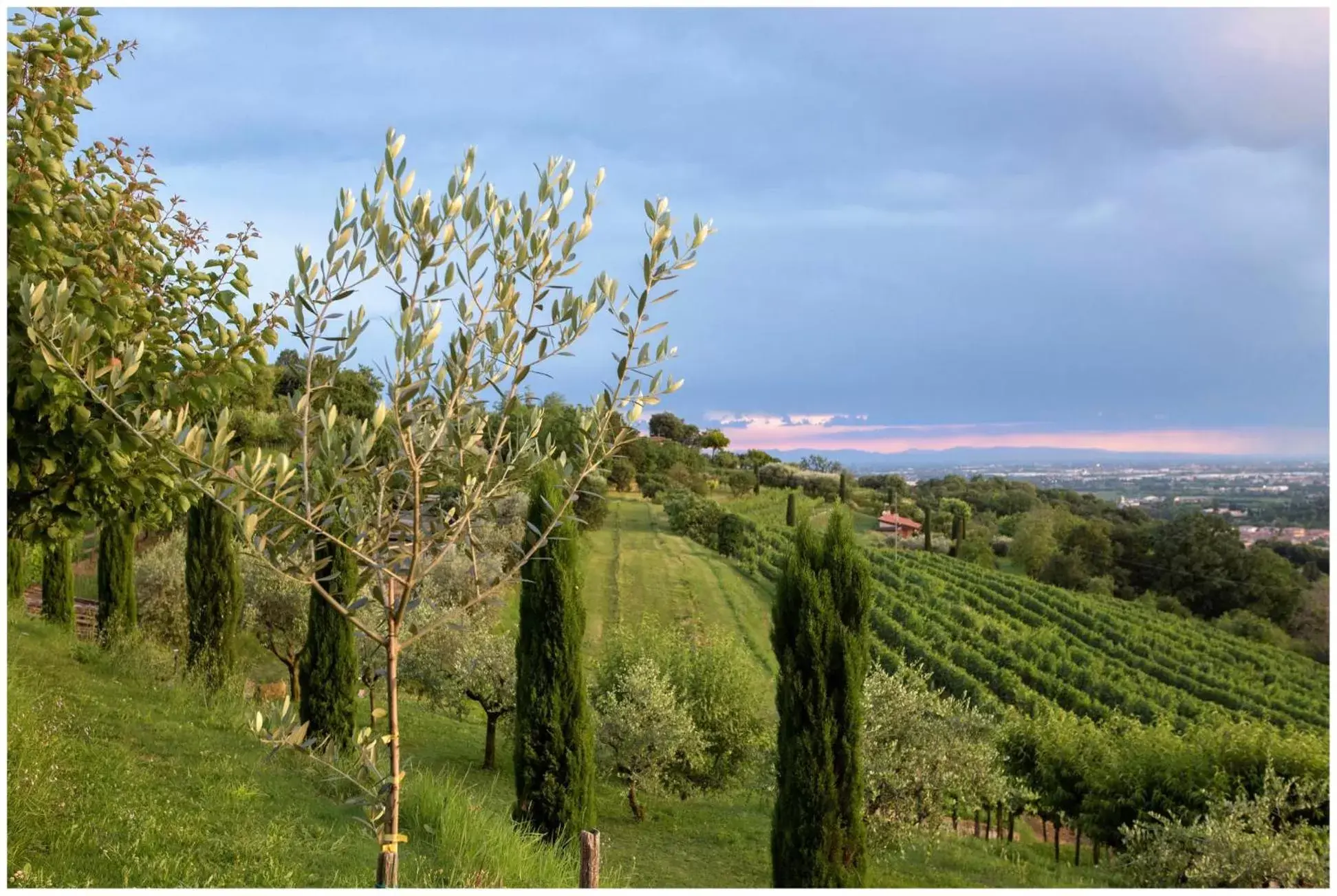 Natural landscape in Albergo Locanda Primavera