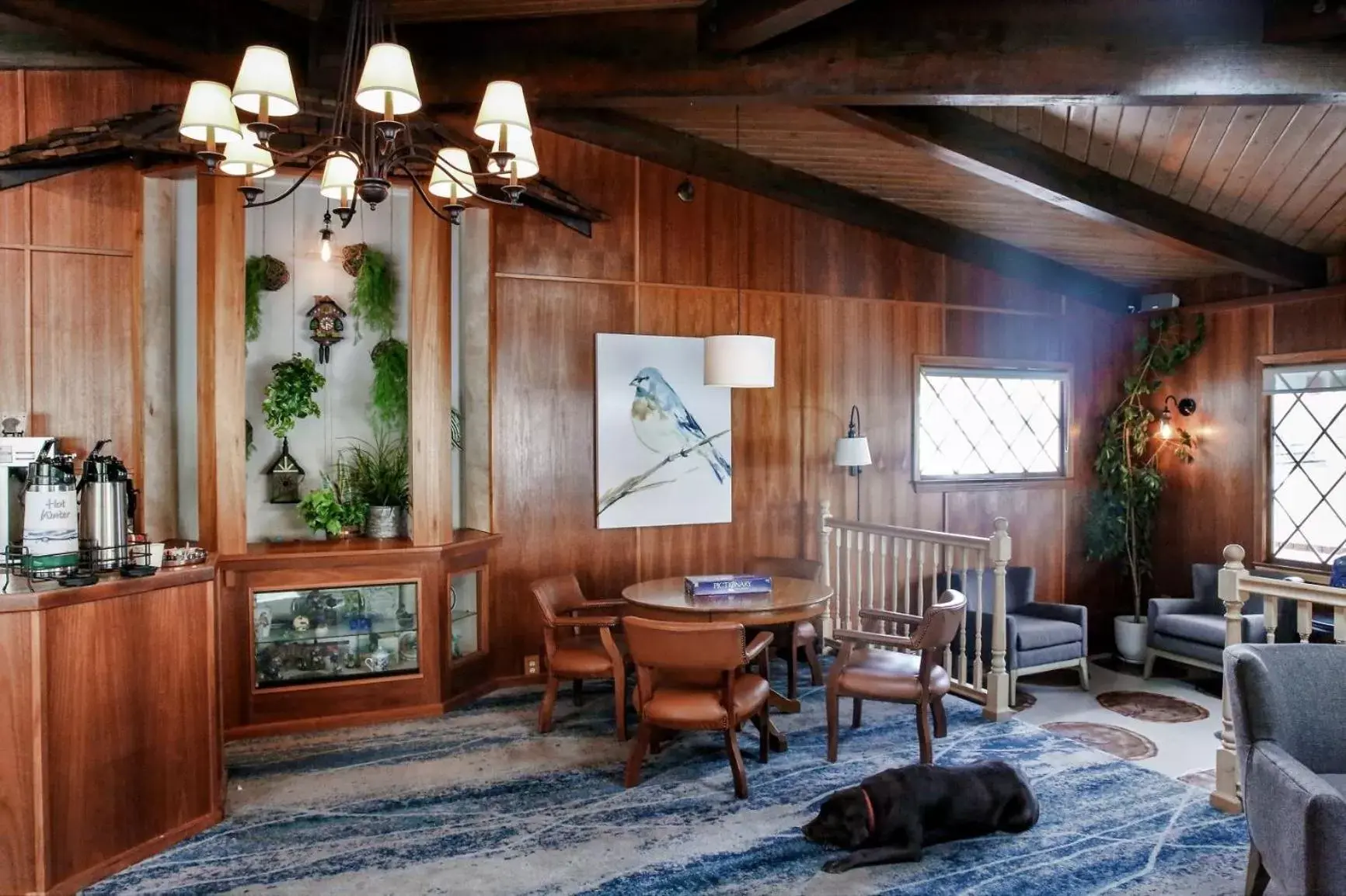 Lobby or reception, Seating Area in Bluebird Inn