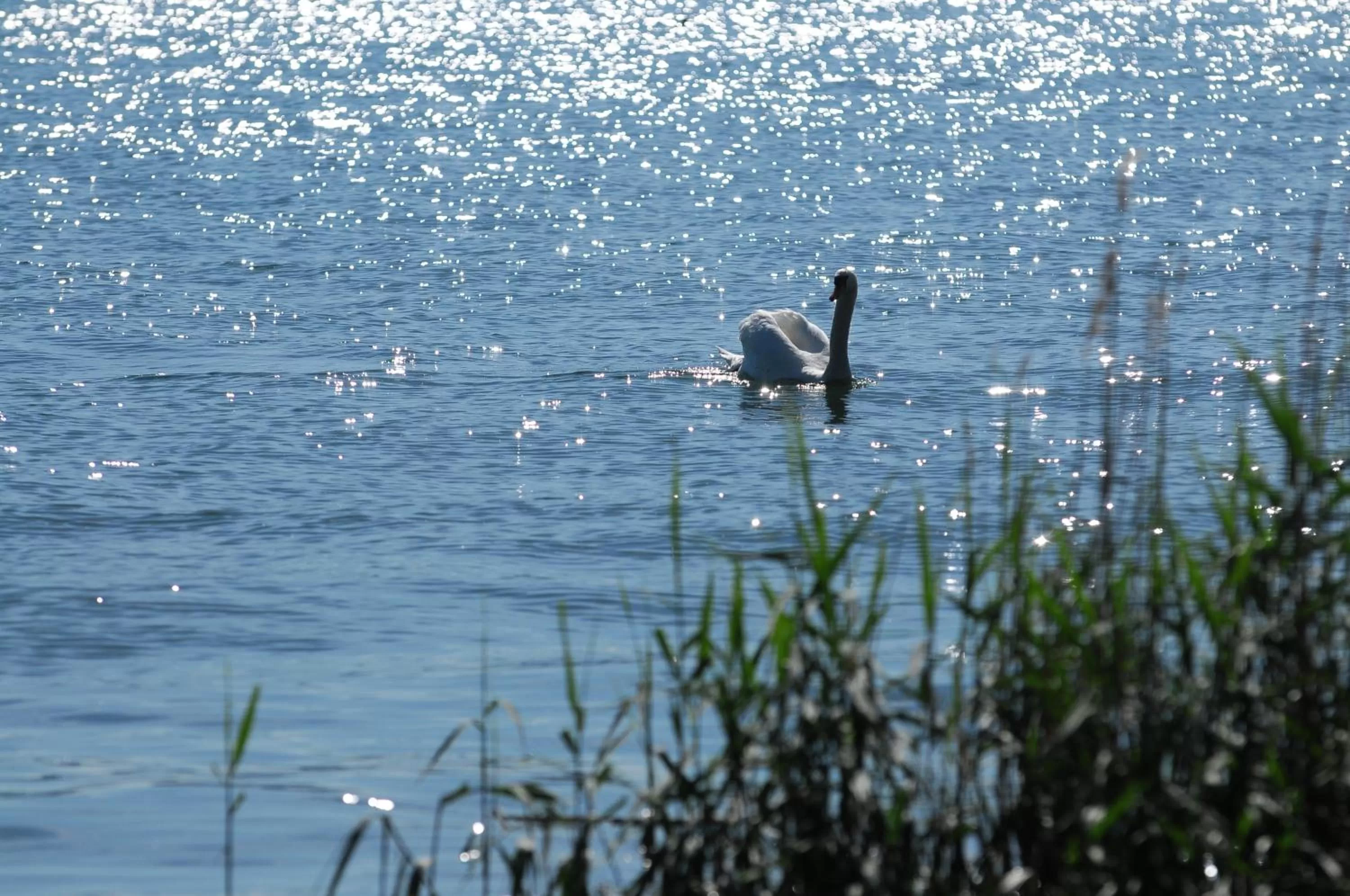 Natural landscape in Hotel mein inselglück