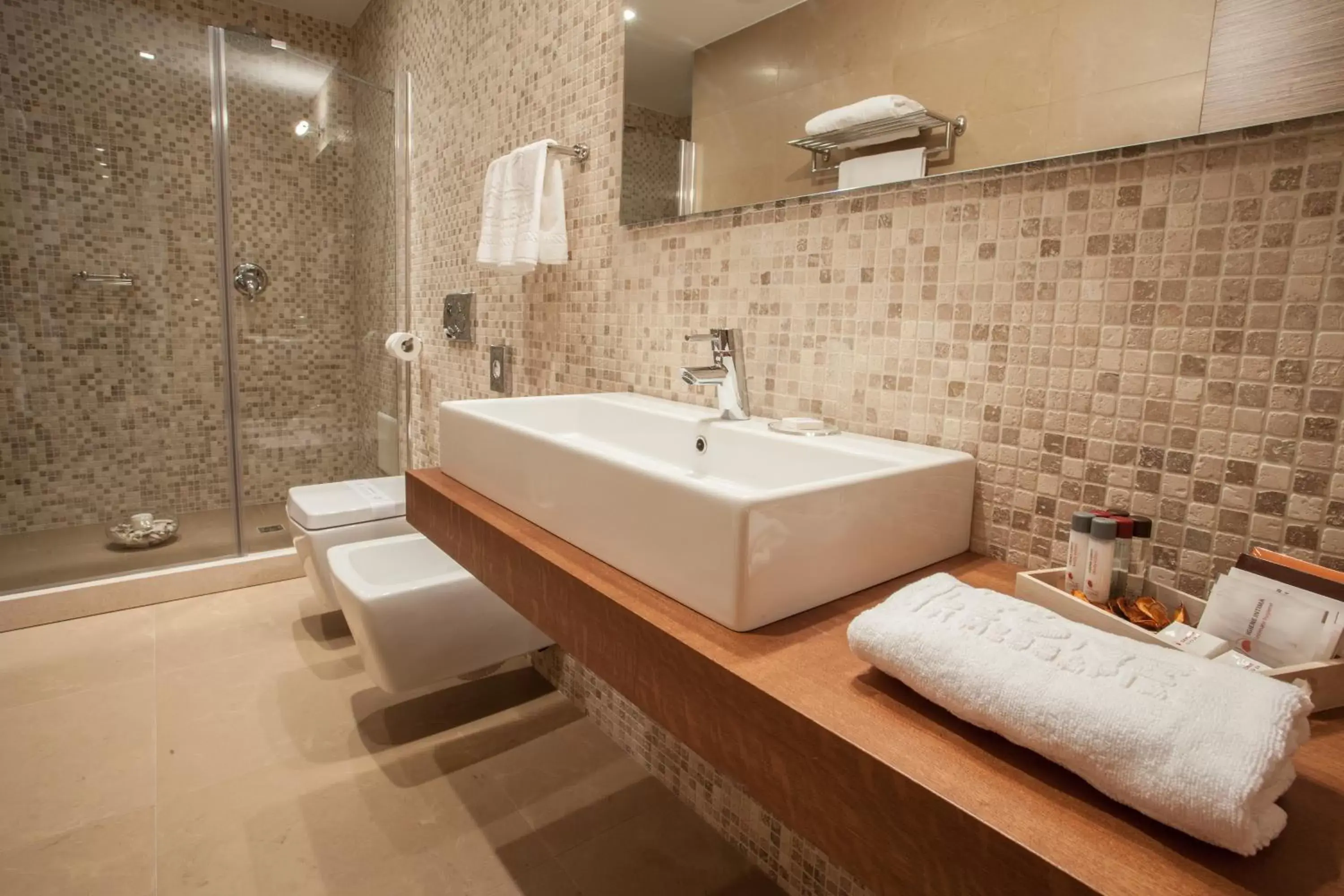 Bathroom in Best Western Plus Leone di Messapia Hotel & Conference