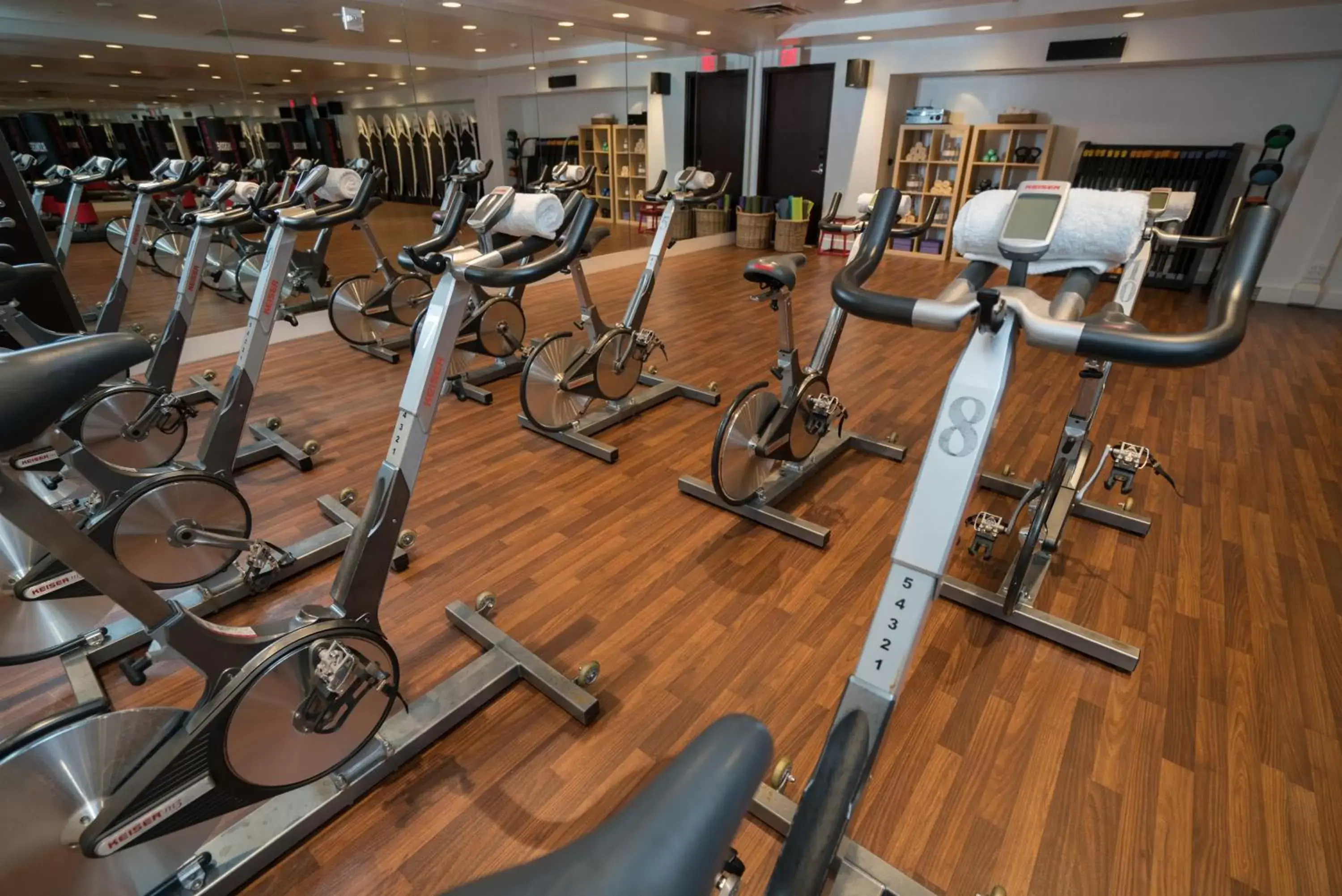 Spa and wellness centre/facilities, Fitness Center/Facilities in Eden Roc Miami Beach