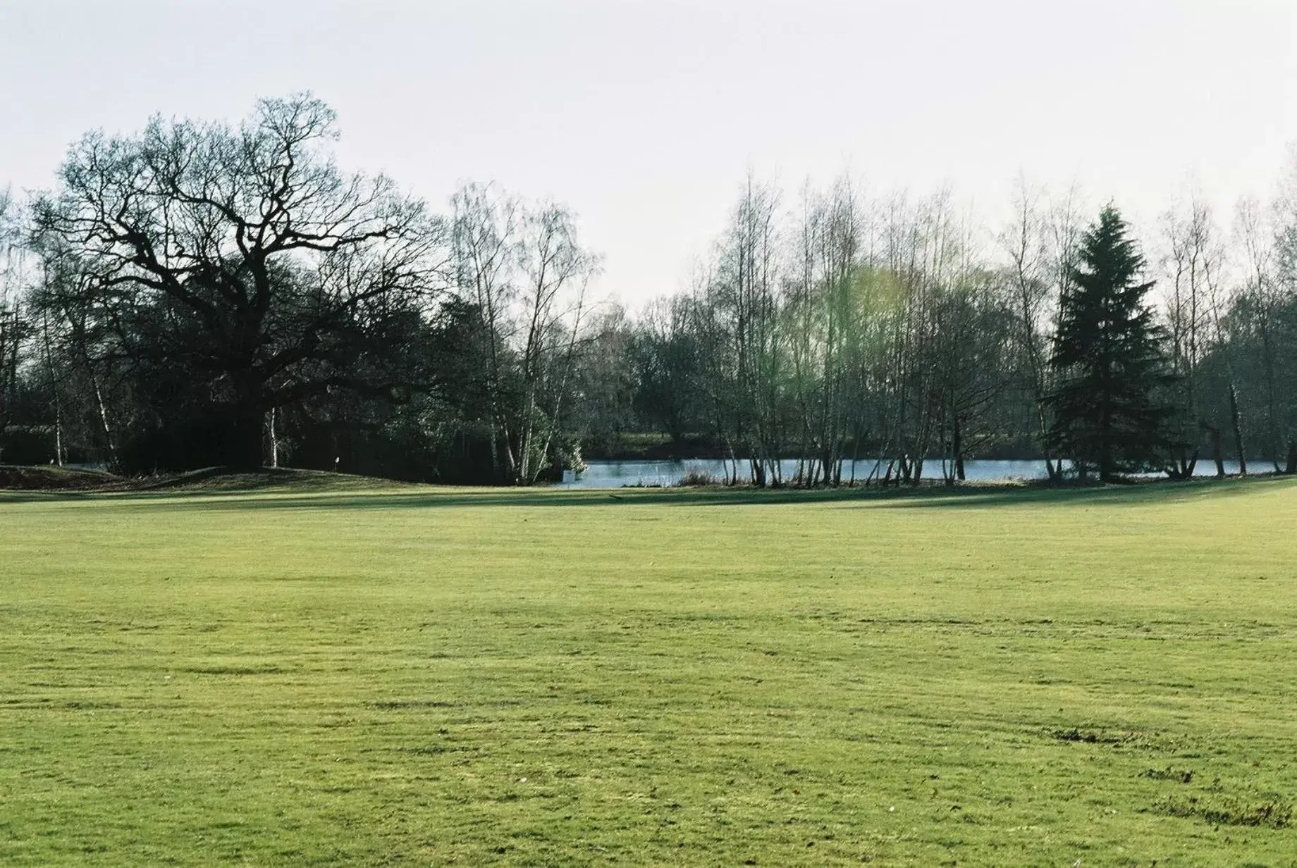 Garden in Stoke Place- Part of the Cairn Collection