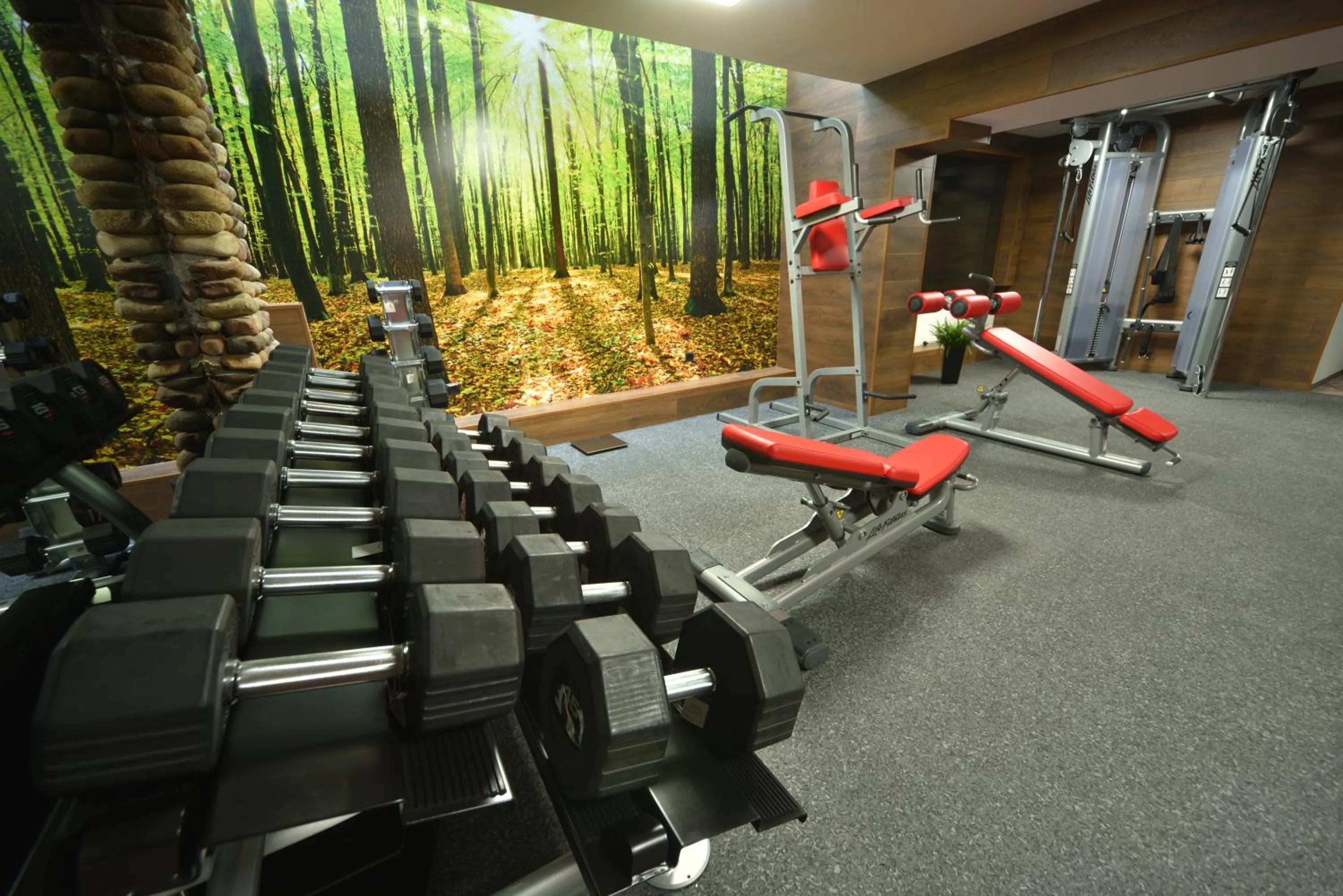 Fitness centre/facilities in Vila 6aTo Hotel & Wellnes