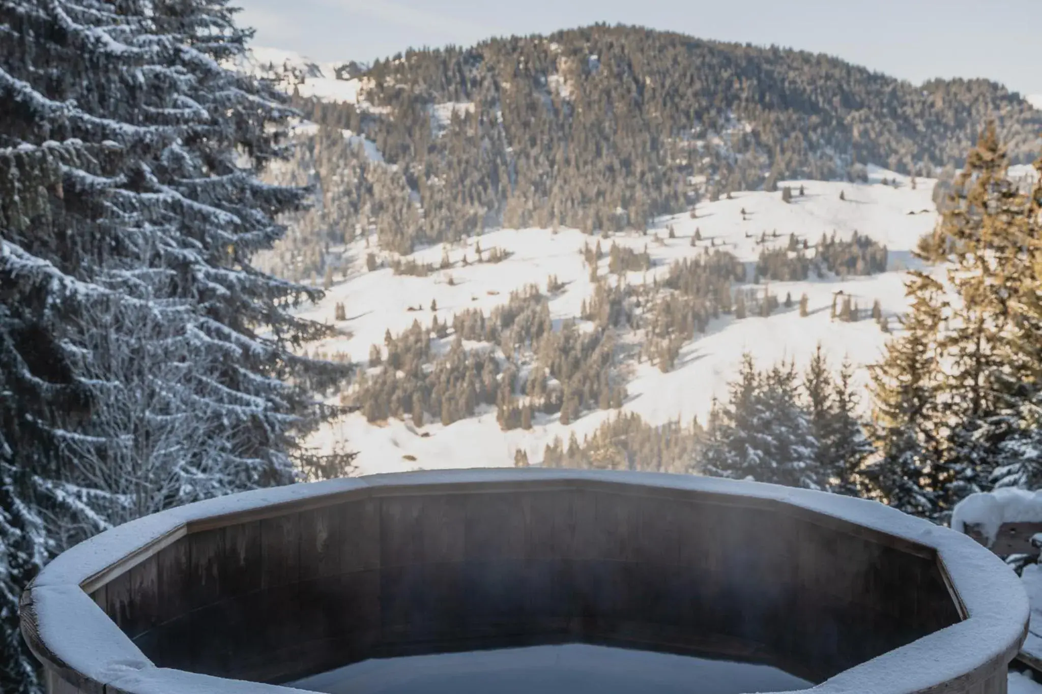 Natural landscape, Winter in Rinderberg Swiss Alpine Lodge