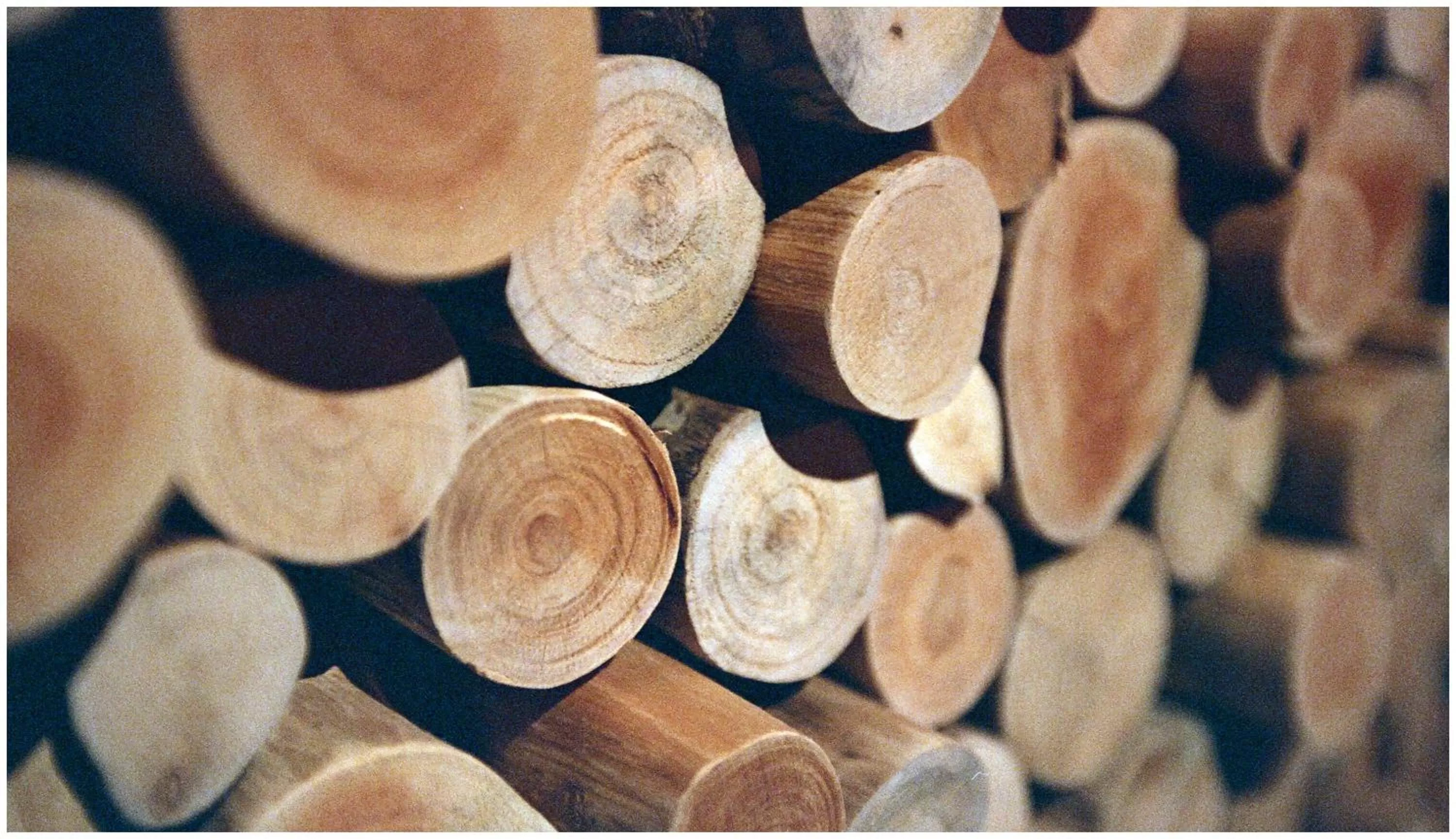 Decorative detail in Errantry Lodge & Studio