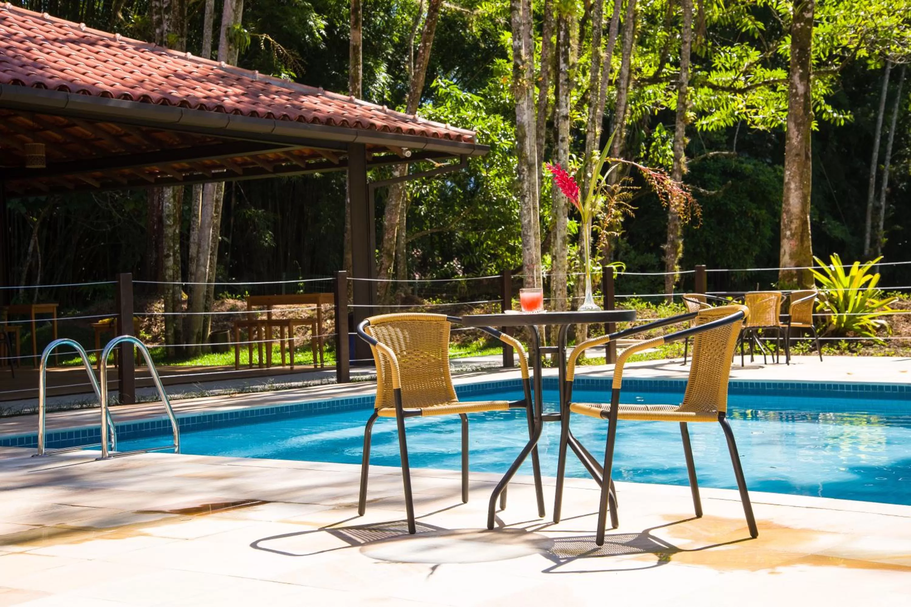 Swimming Pool in Fradissimo Hotel