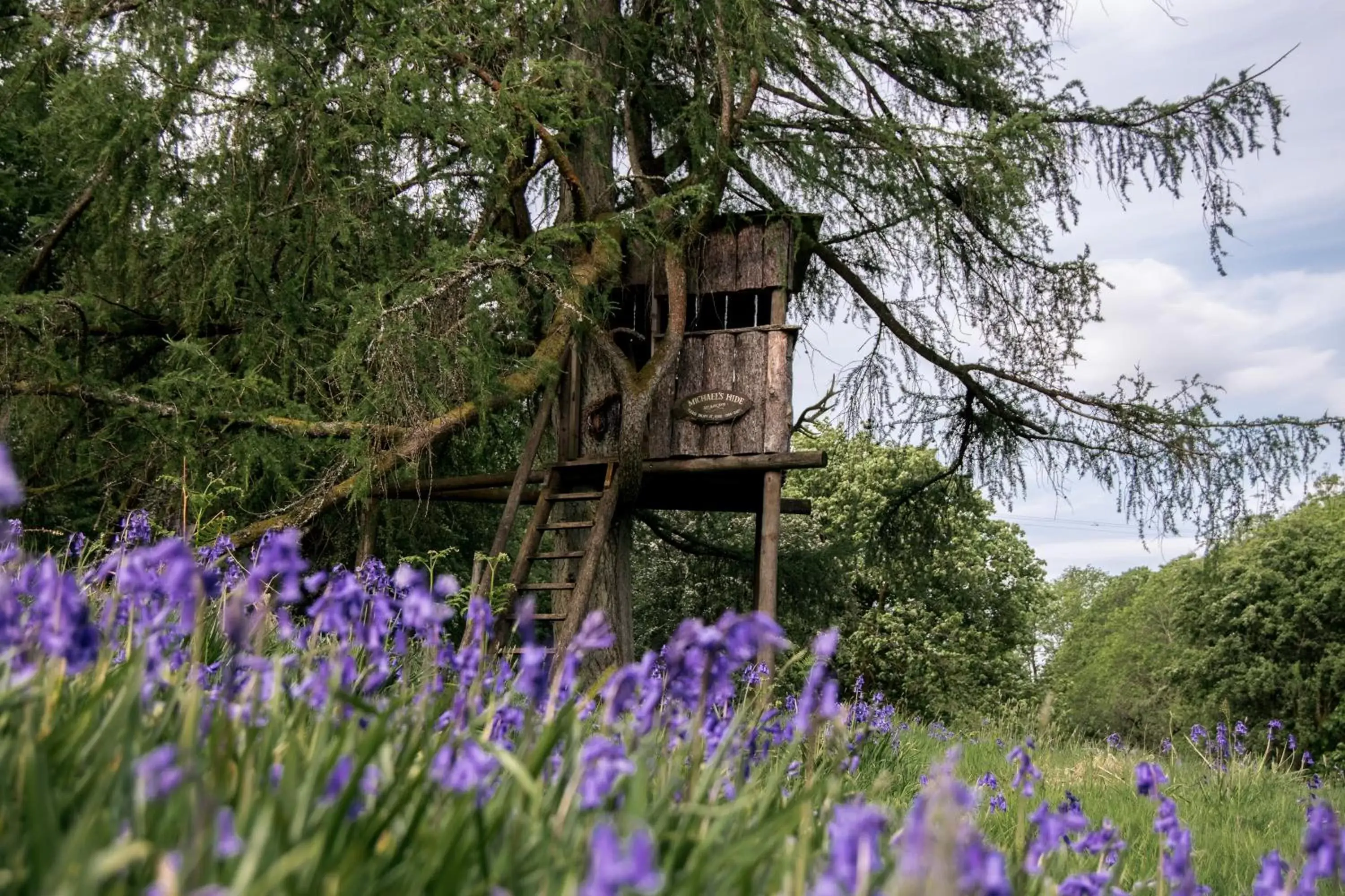 Garden, Property Building in The Wild Boar