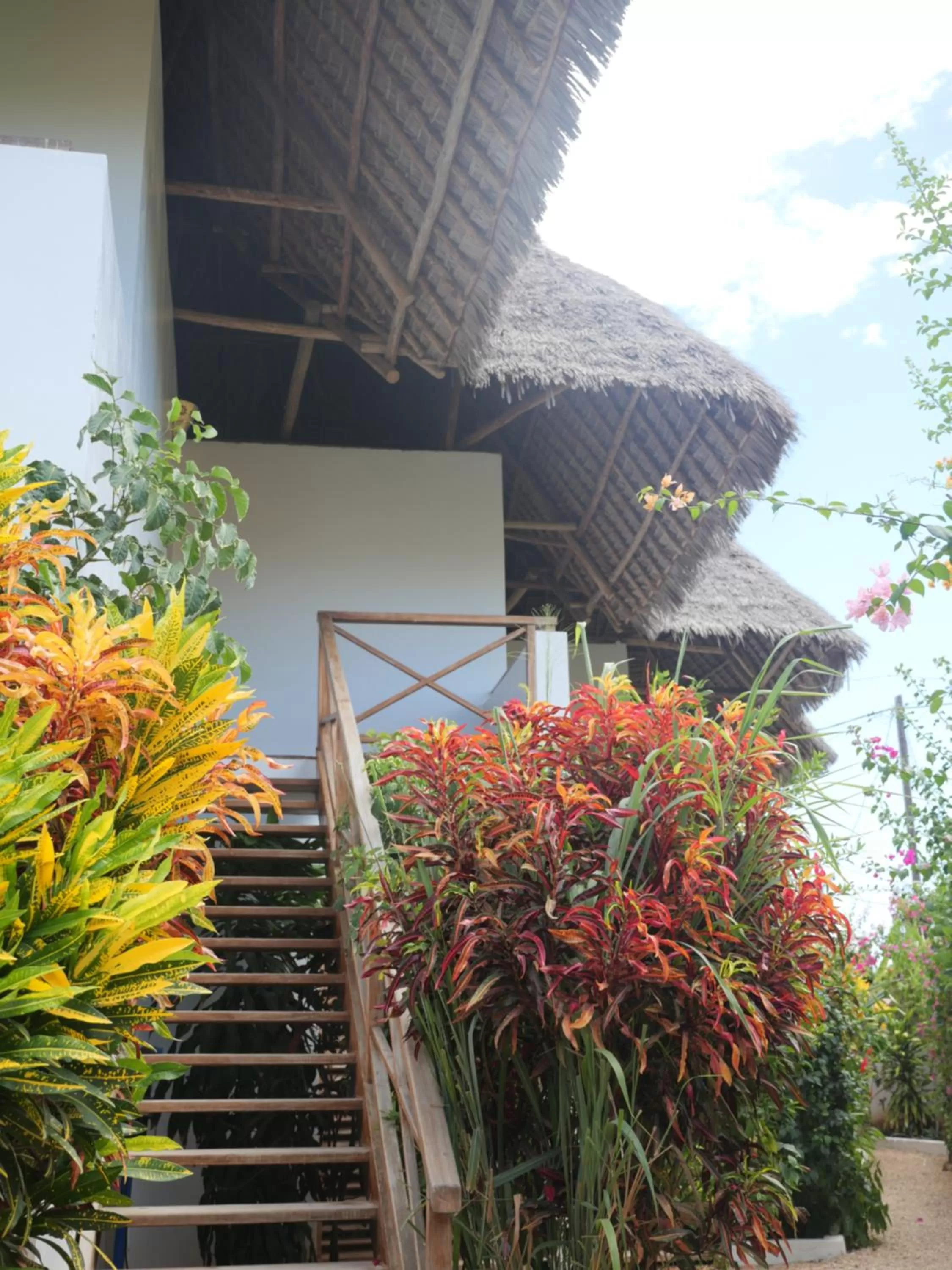 Garden in Aluna Nungwi