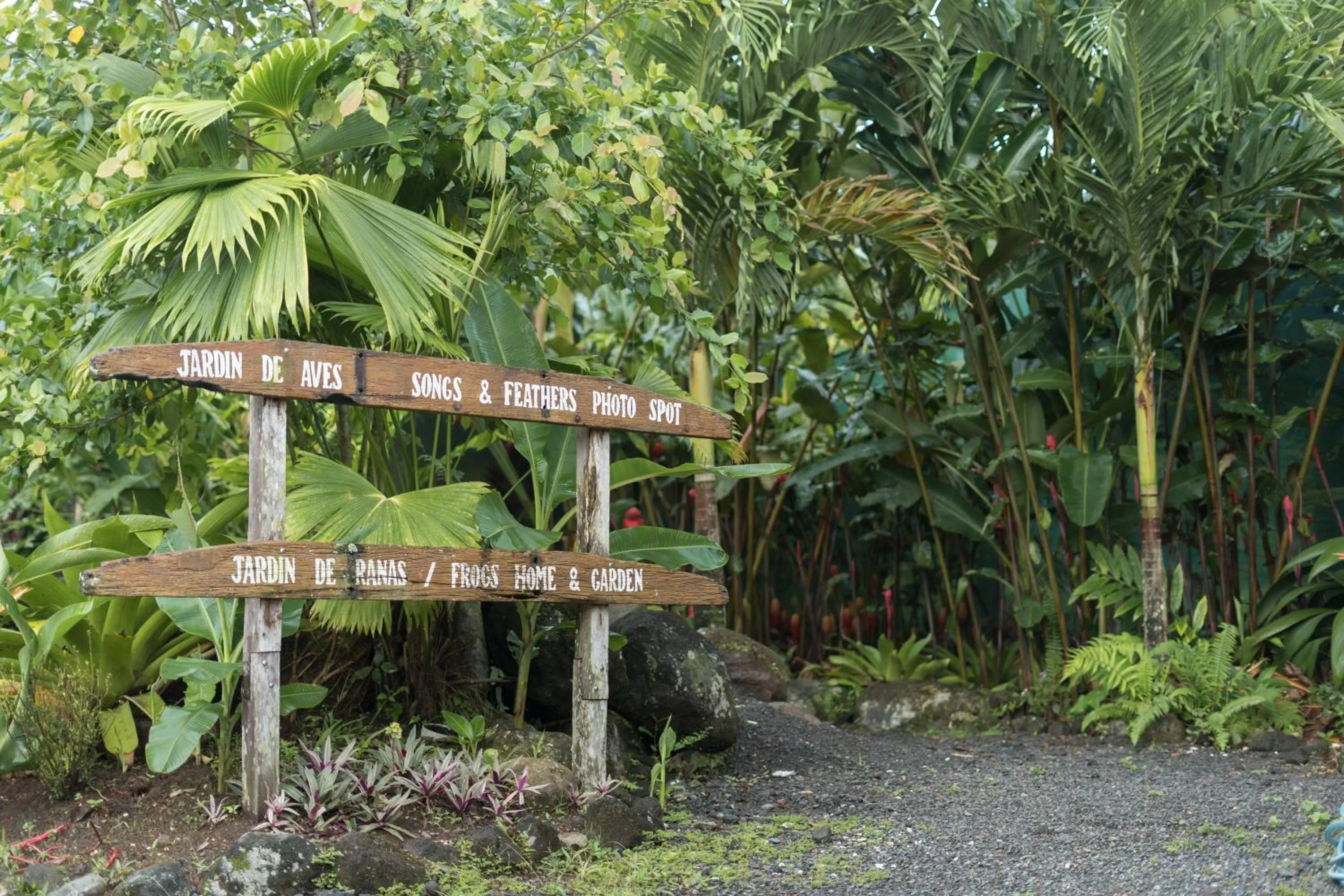 Natural landscape in Cabañas del Rio