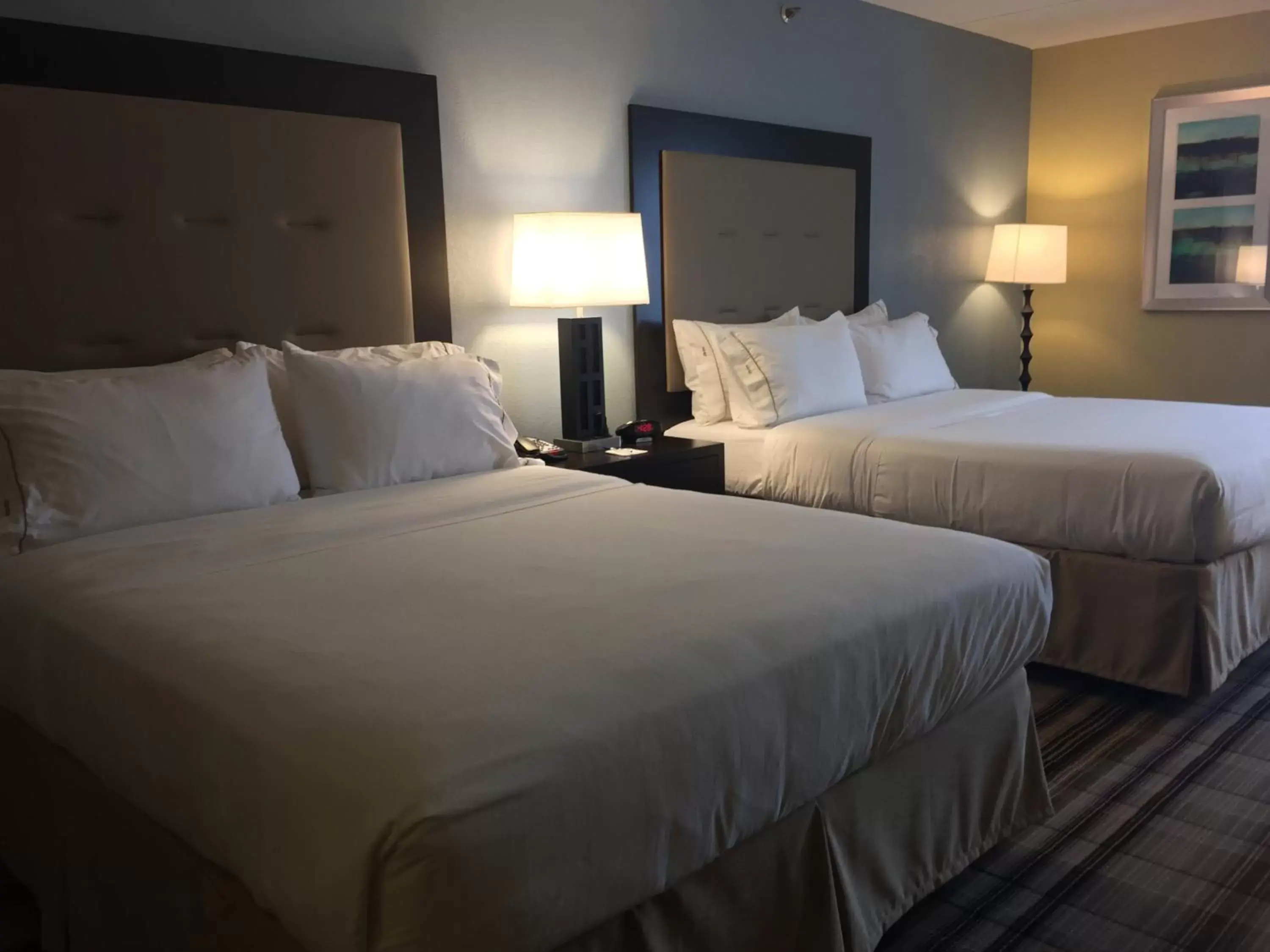 Photo of the whole room, Bed in Holiday Inn Express Chicago NW - Arlington Heights, an IHG Hotel