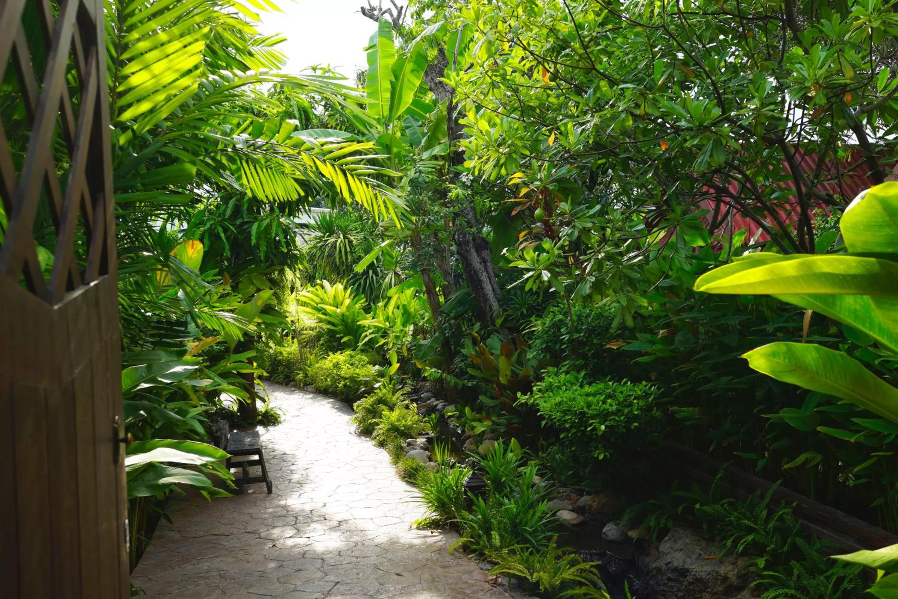 Garden in Ruenkanok Thaihouse Resort