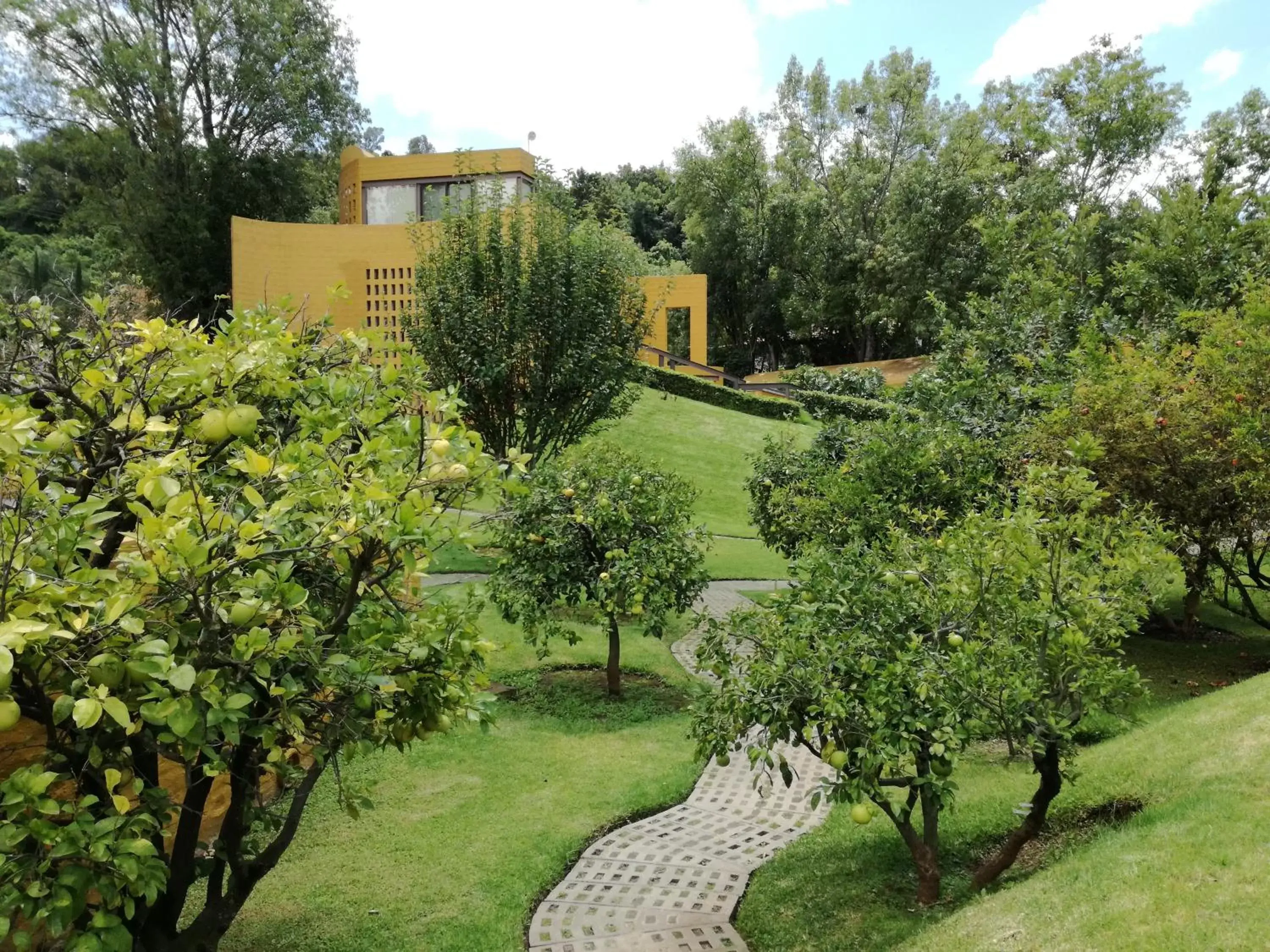 Garden in Hotel Casa en el Campo