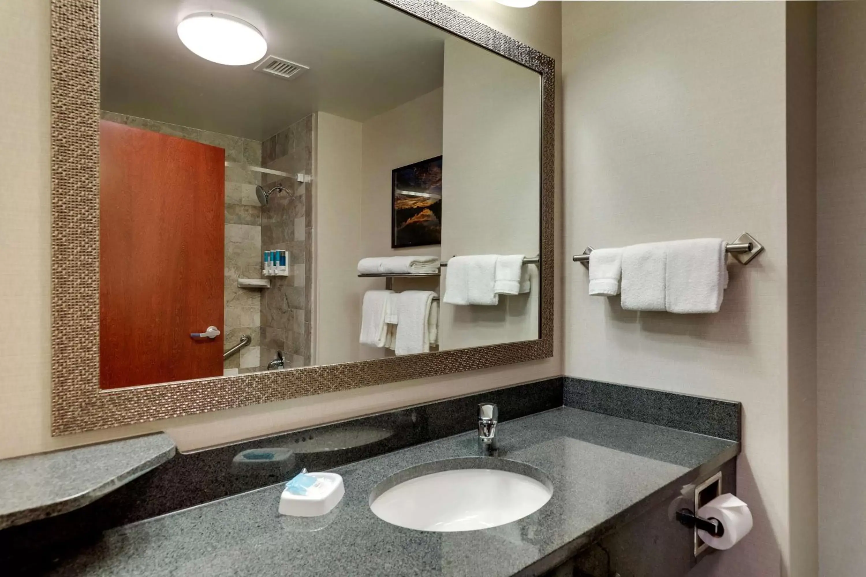 Bathroom in Drury Inn & Suites St. Louis Arnold