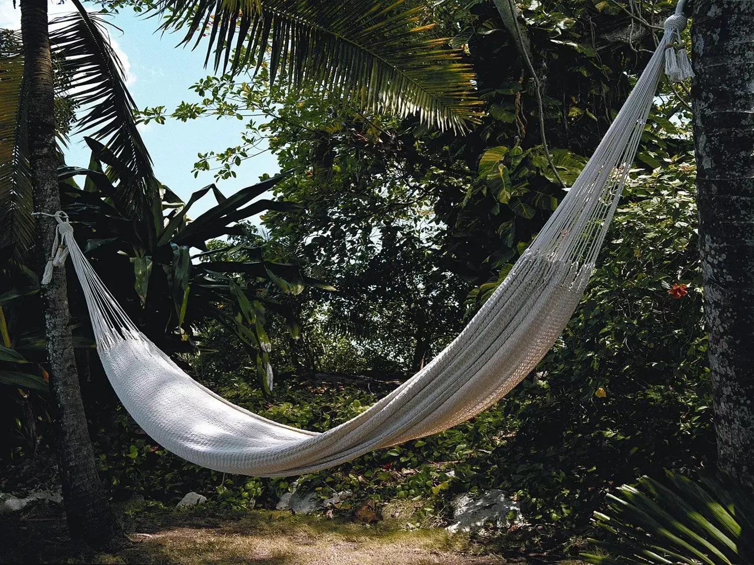 Natural landscape in Jamaica Inn