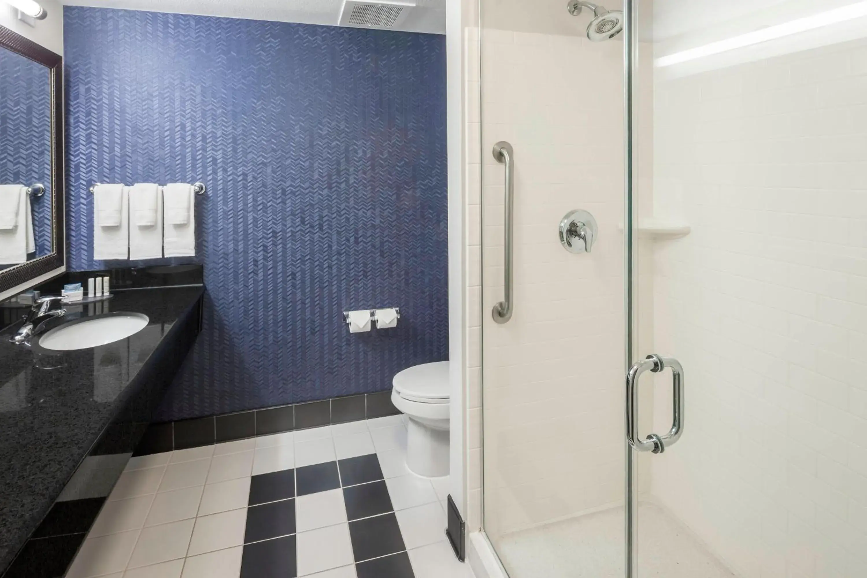 Bathroom in Fairfield Inn & Suites by Marriott Austin Parmer Tech Ridge