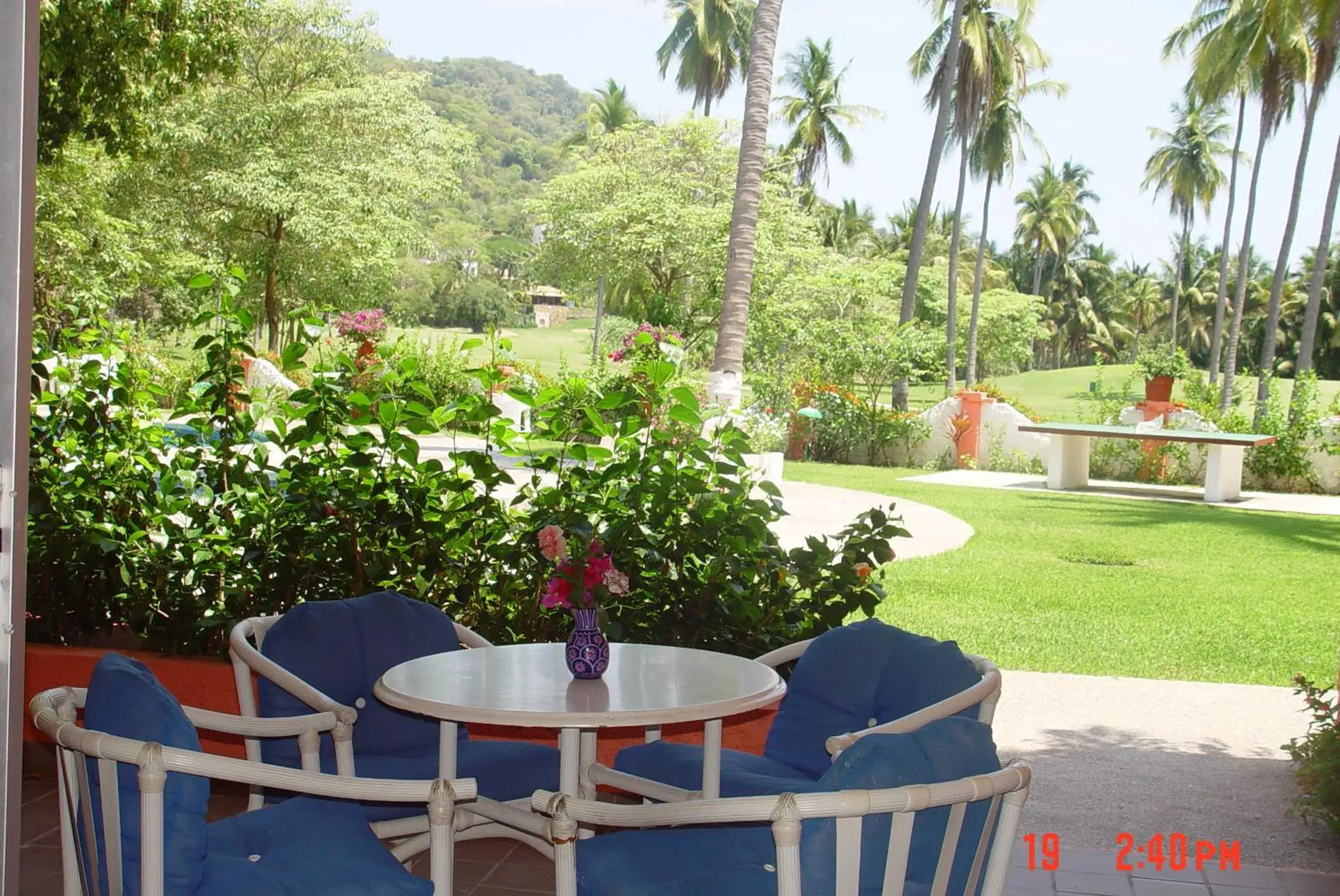 Garden view in Coral Ixtapa