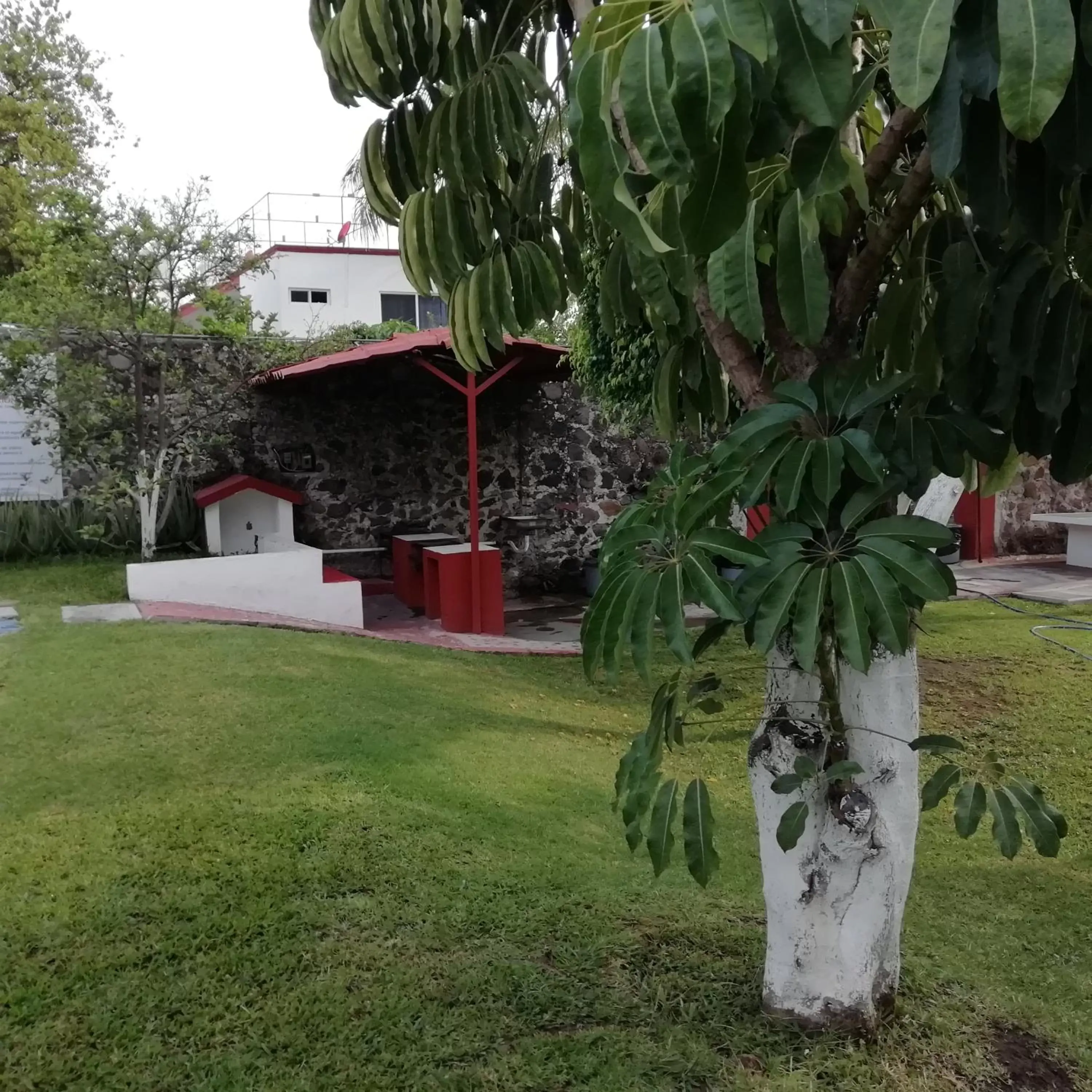 BBQ facilities, Garden in Hotel Quinta Paraiso