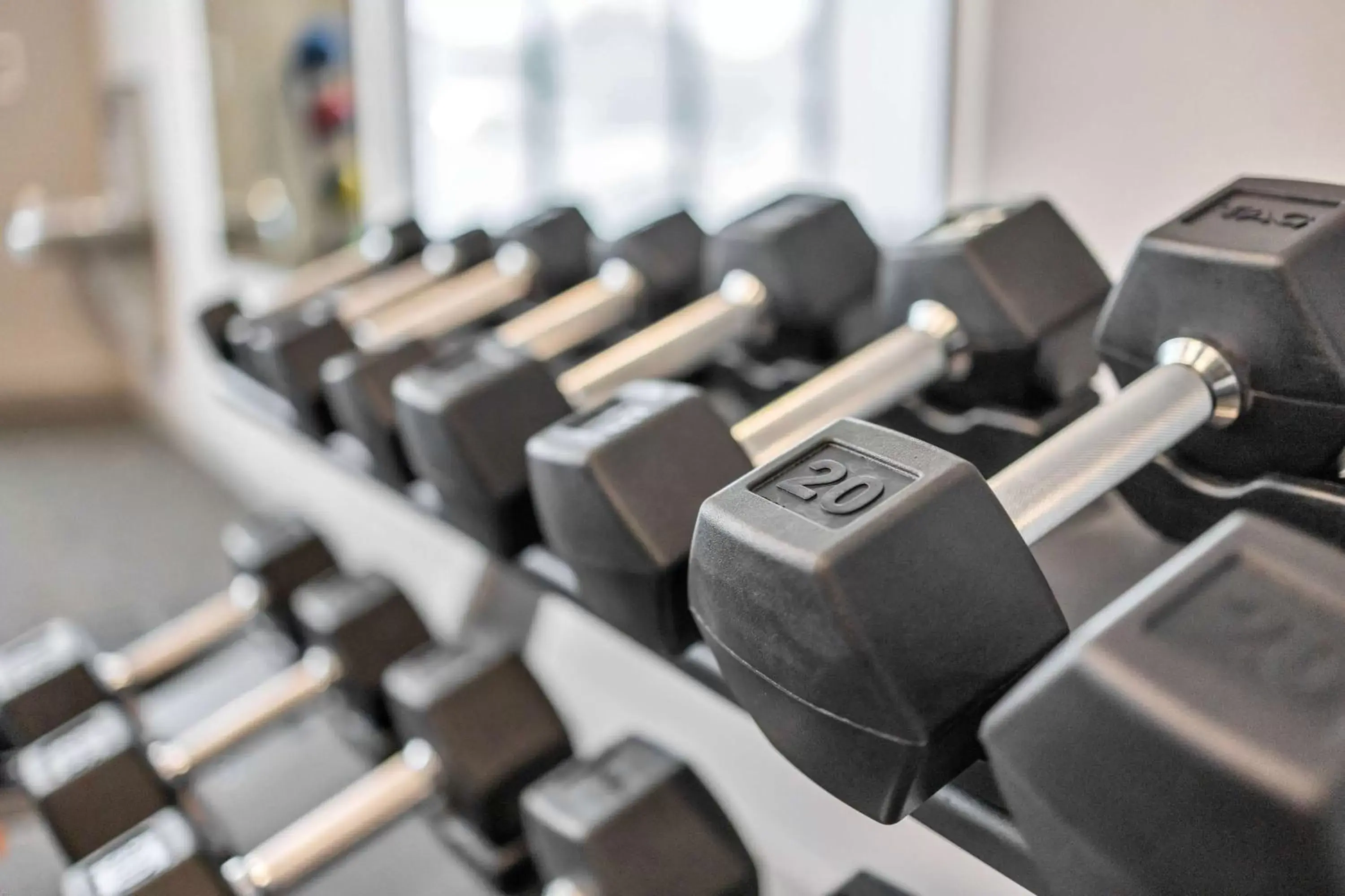 Fitness centre/facilities, Fitness Center/Facilities in La Quinta Inn & Suites by Wyndham San Jose Silicon Valley