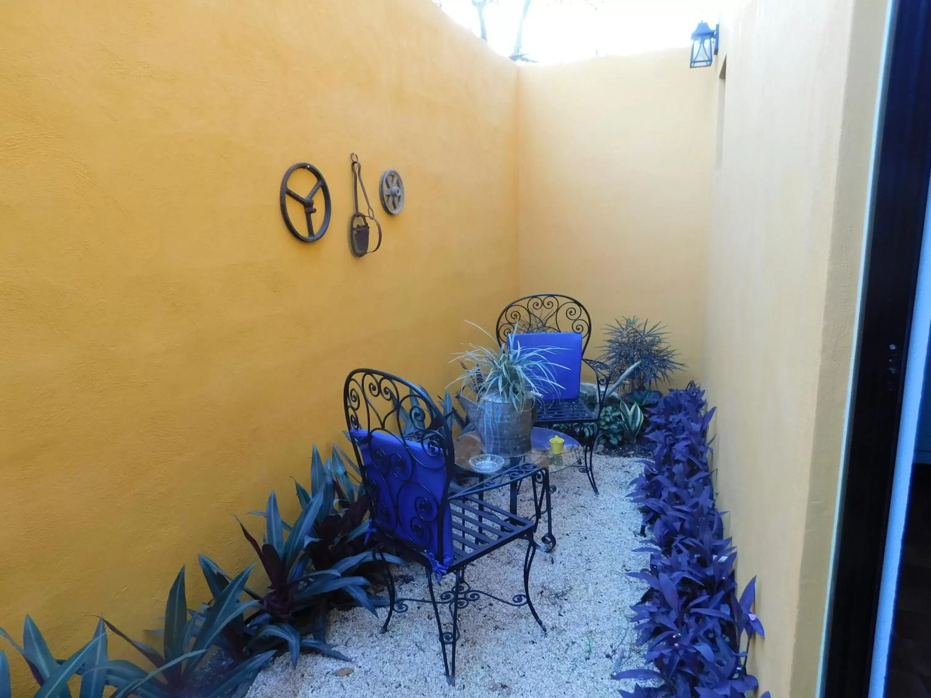 Balcony/Terrace in Hotel Boutique Casa Flor de Mayo