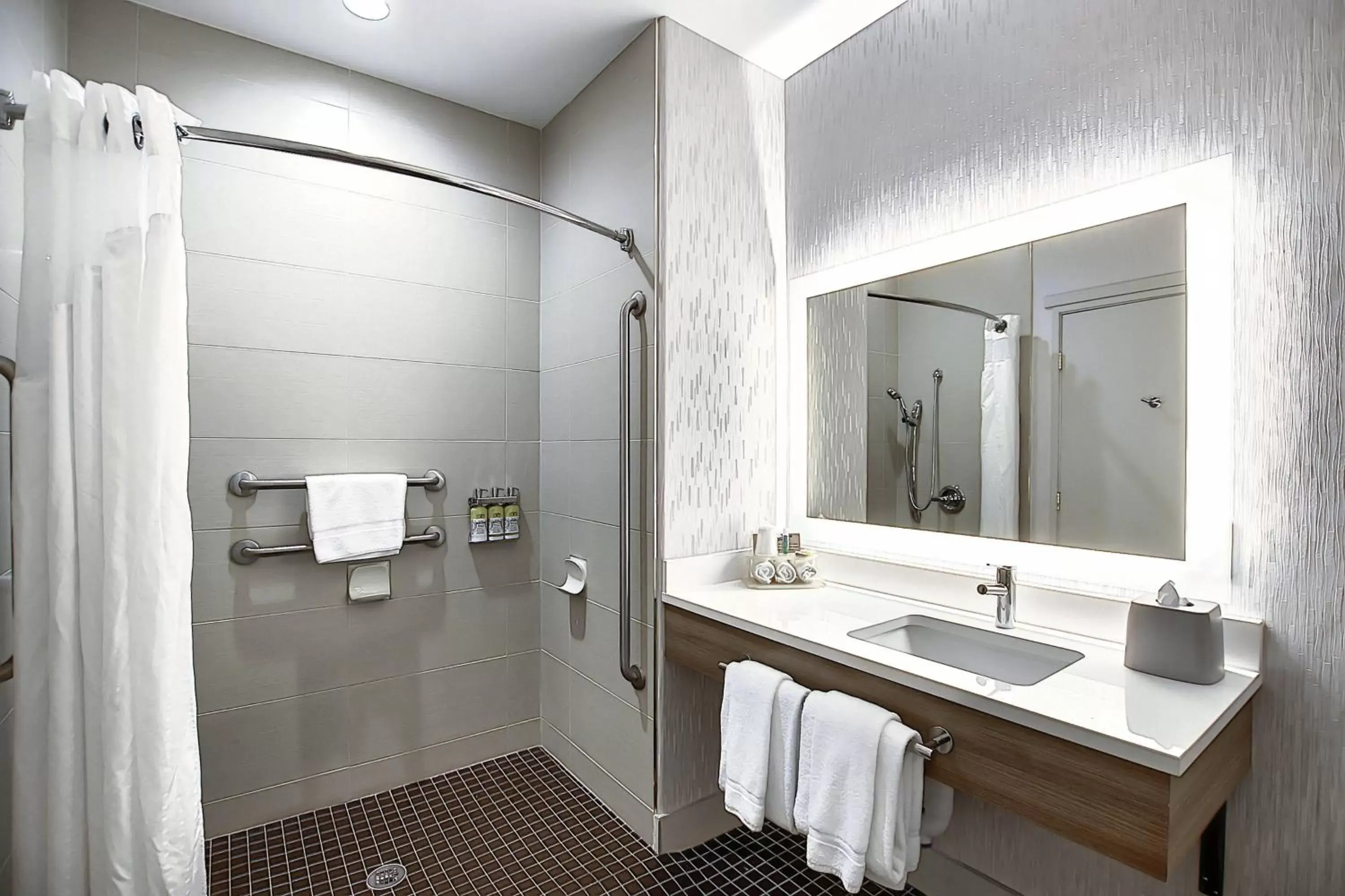 Bathroom in Holiday Inn Express Airport Calgary, an IHG Hotel