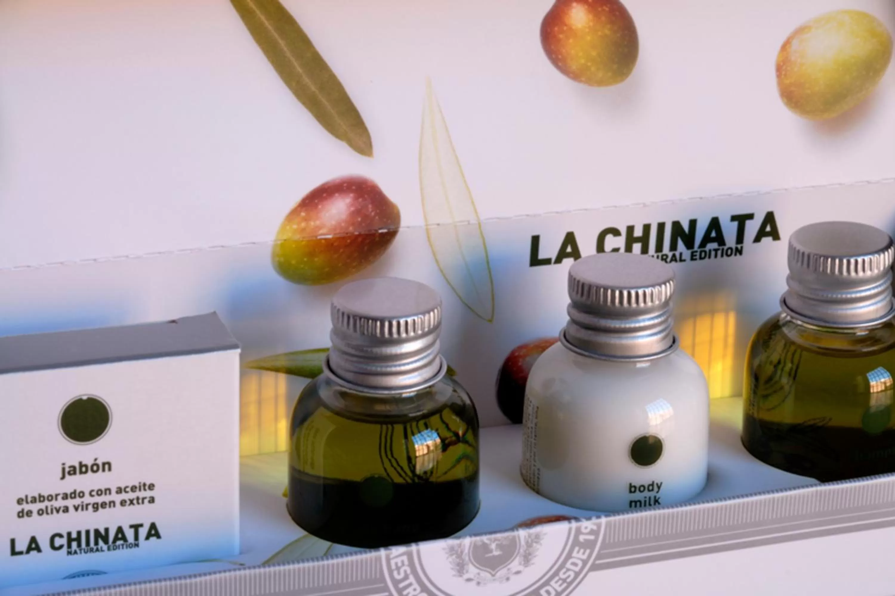 Decorative detail in Palacio Carvajal Girón