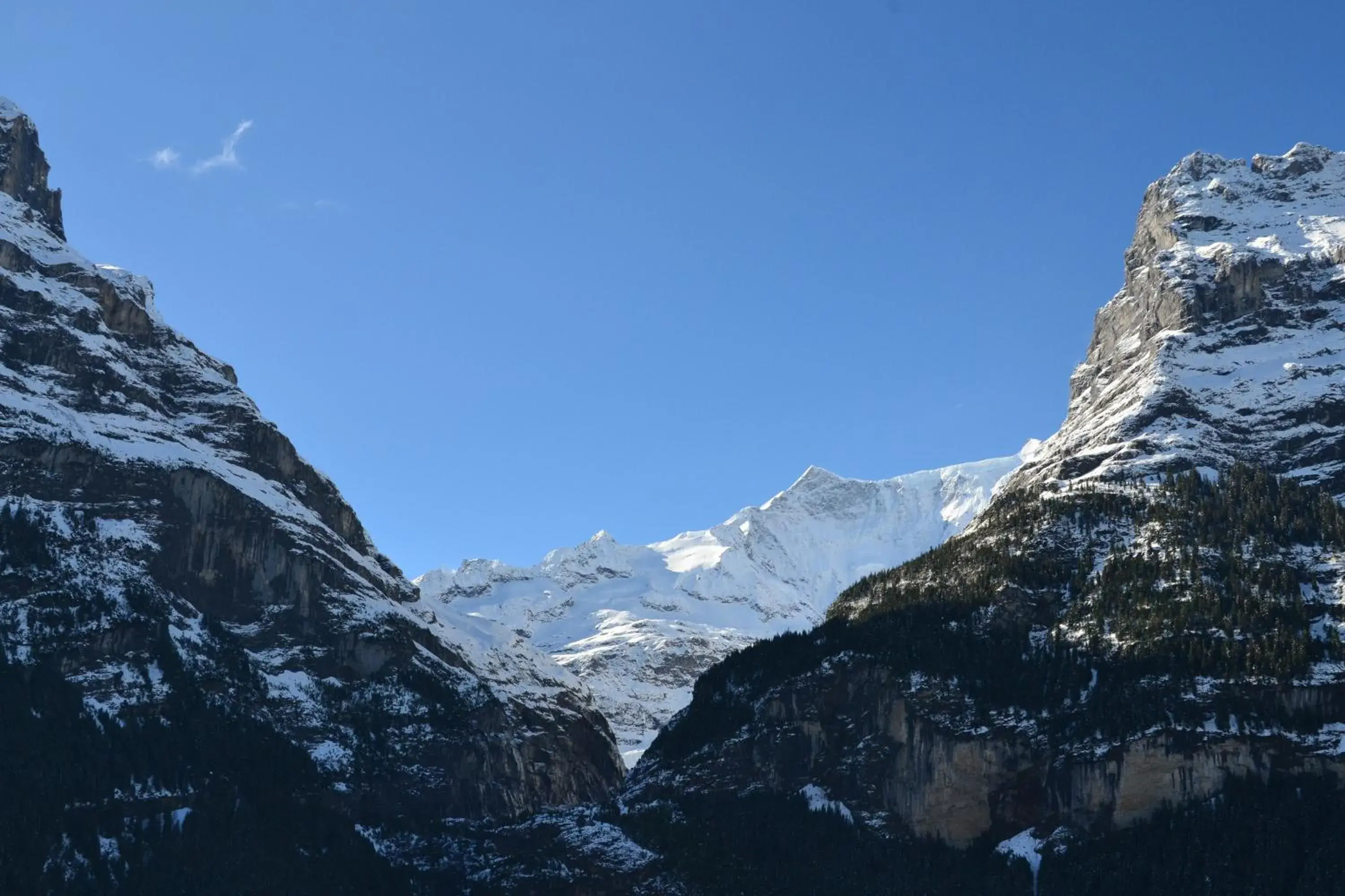 Hiking, Winter in Hotel Hirschen - Grindelwald