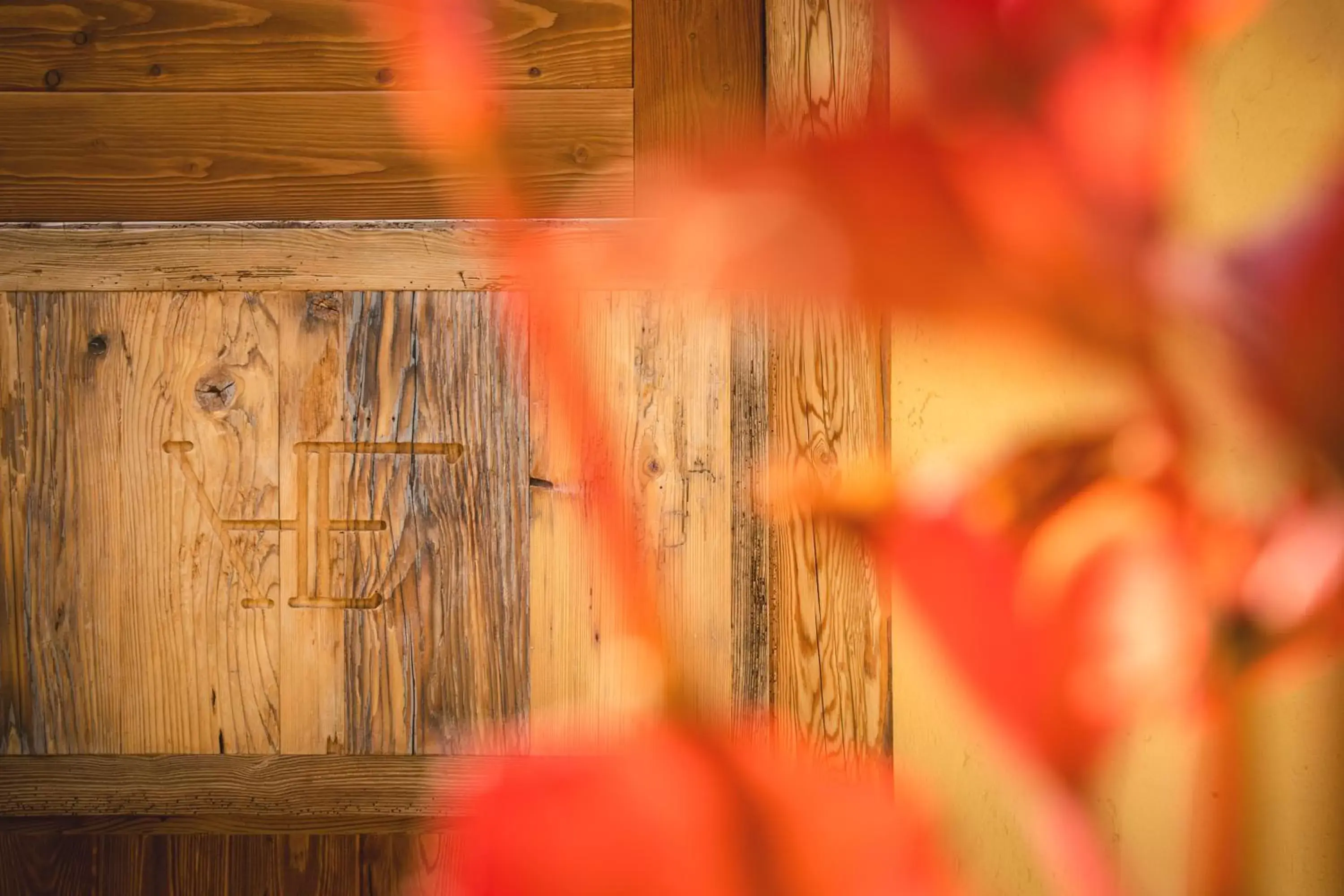 Sauna in Hotel Elena