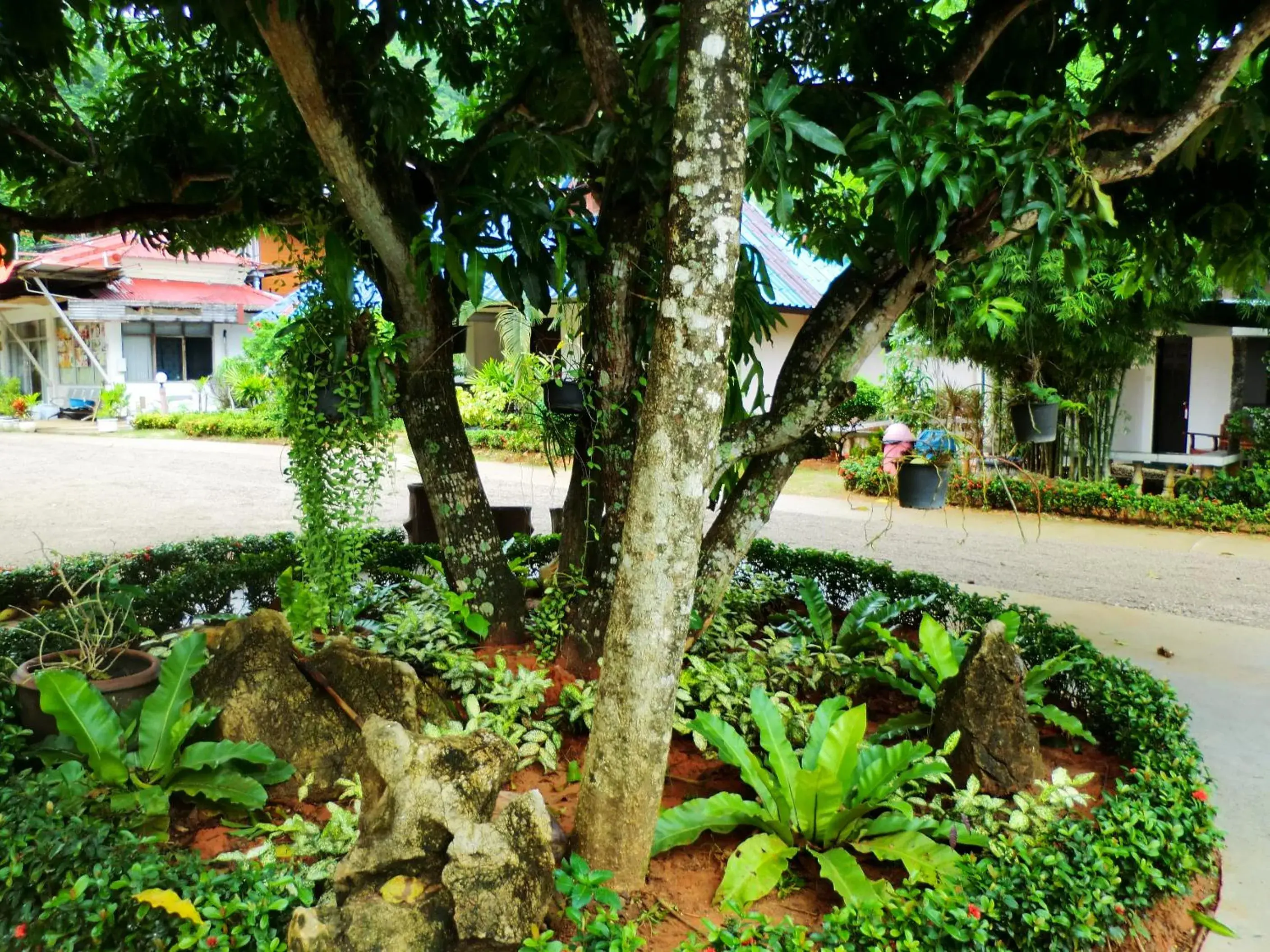 Garden in The Krabi Forest Homestay