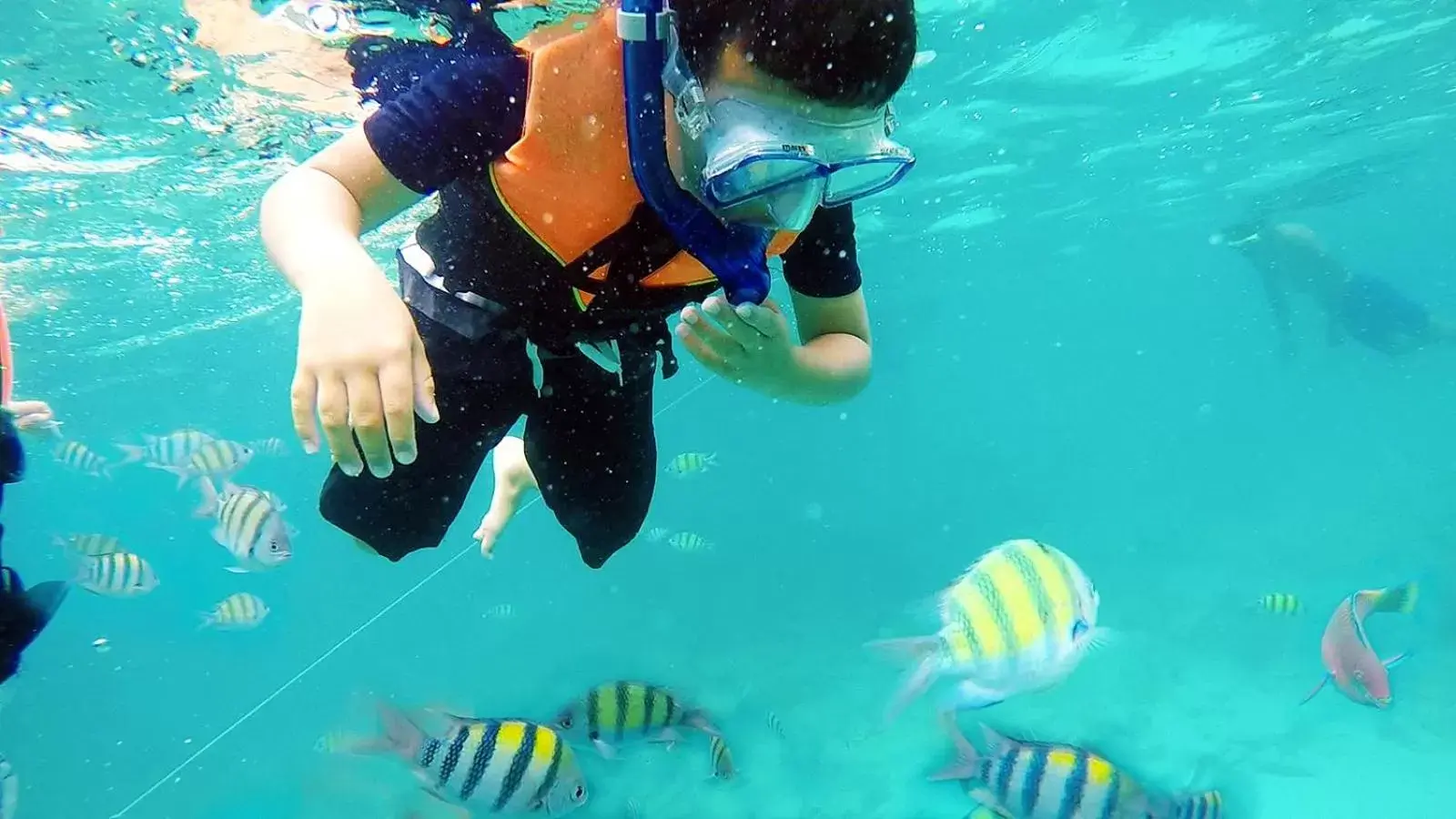 Activities, Snorkeling/Diving in Doo Dee Boutique Resort by Swiss Chalet