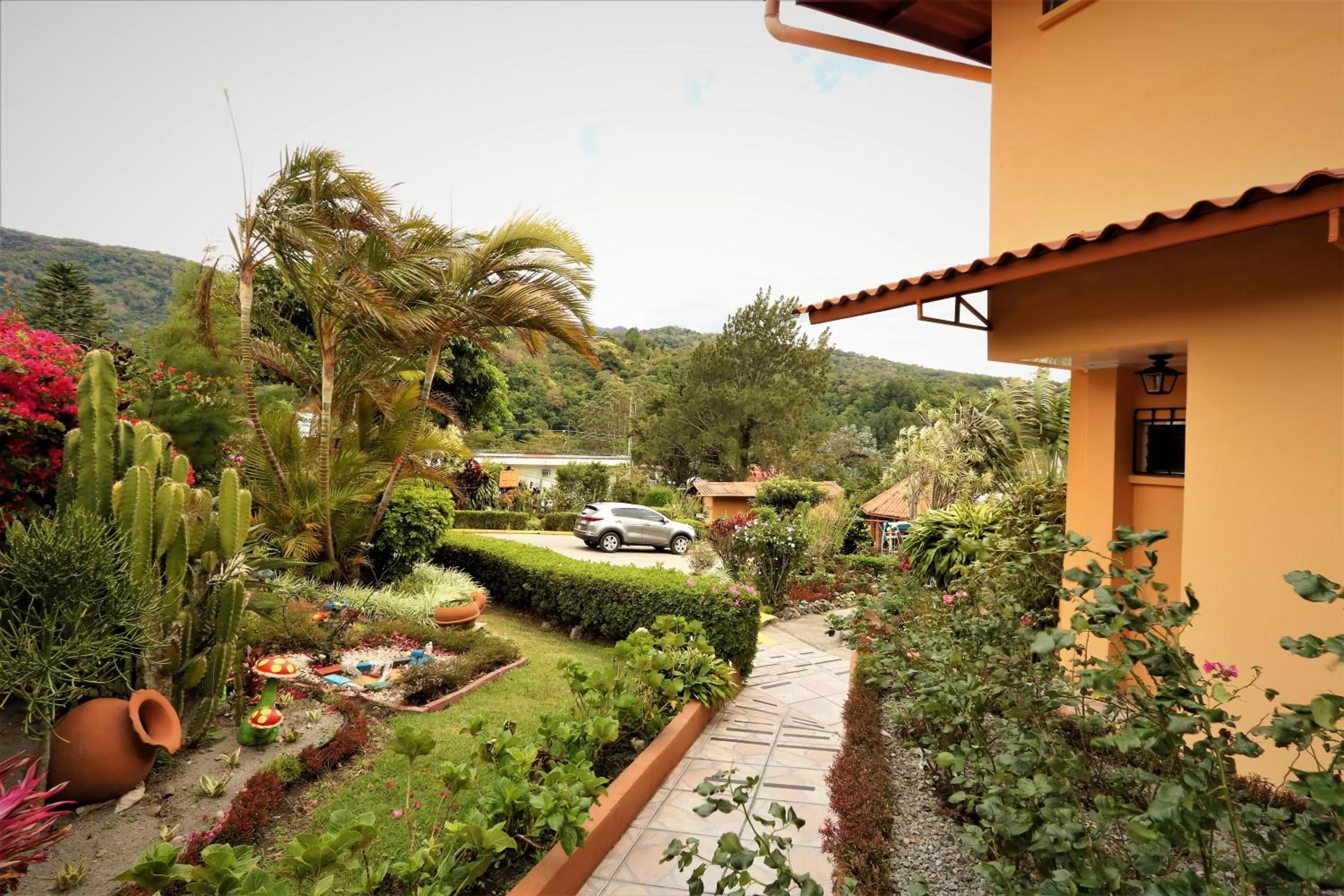 Garden view in Aparthotel Los Pinos