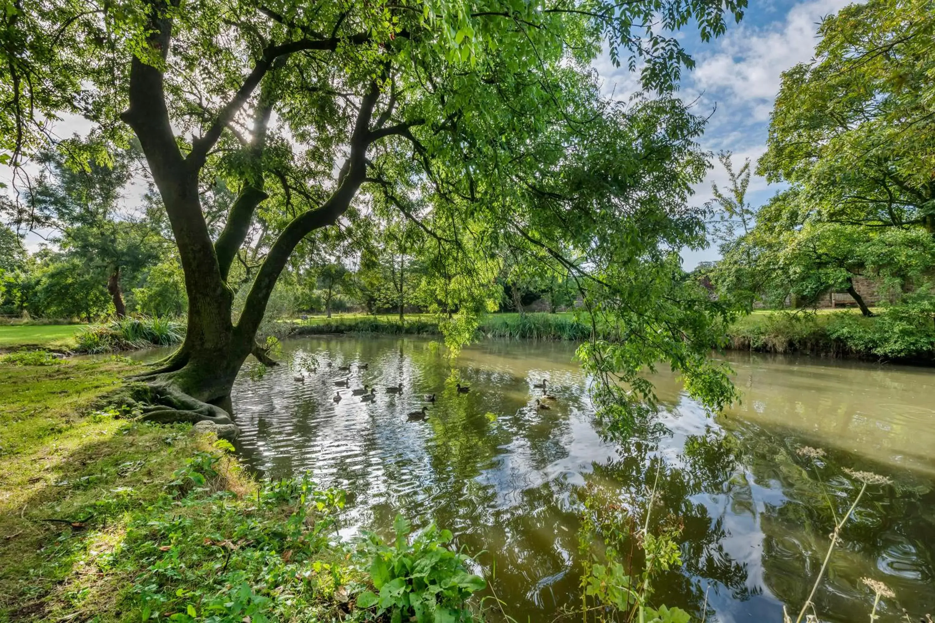 Lake view, Natural Landscape in Thurnham Hall Resort