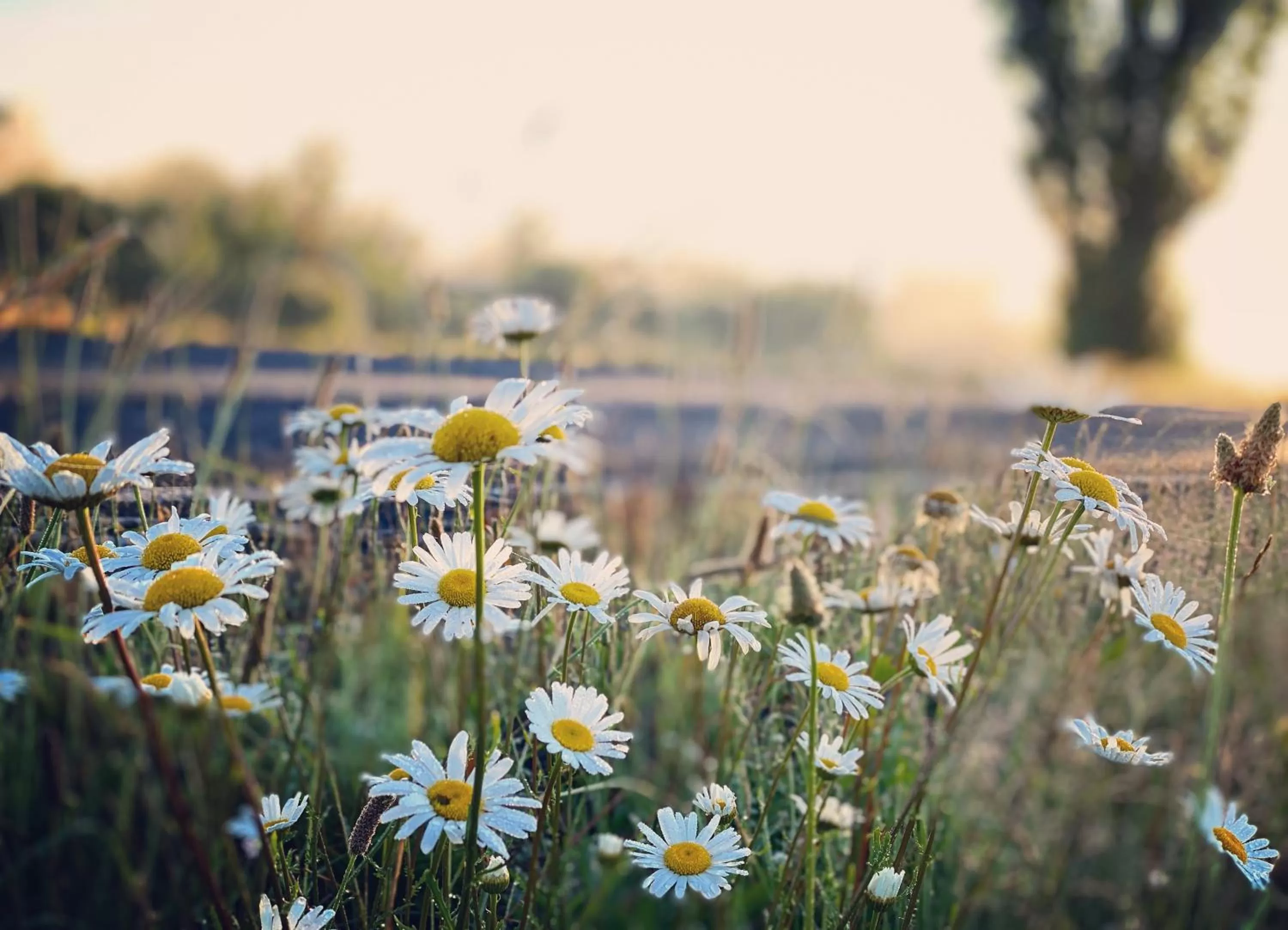 Nearby landmark in Titania Motel
