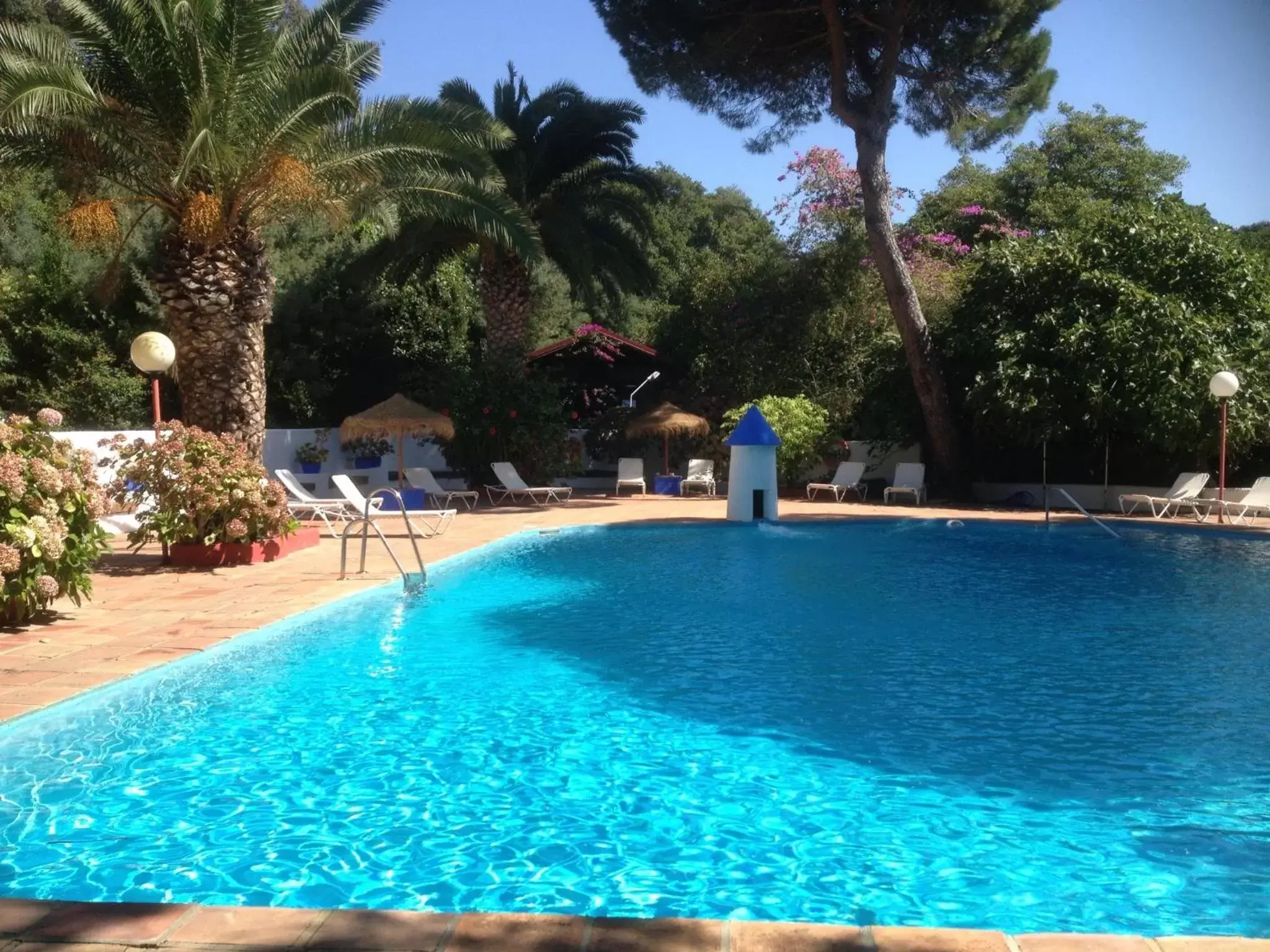 Swimming Pool in Mesón de Sancho