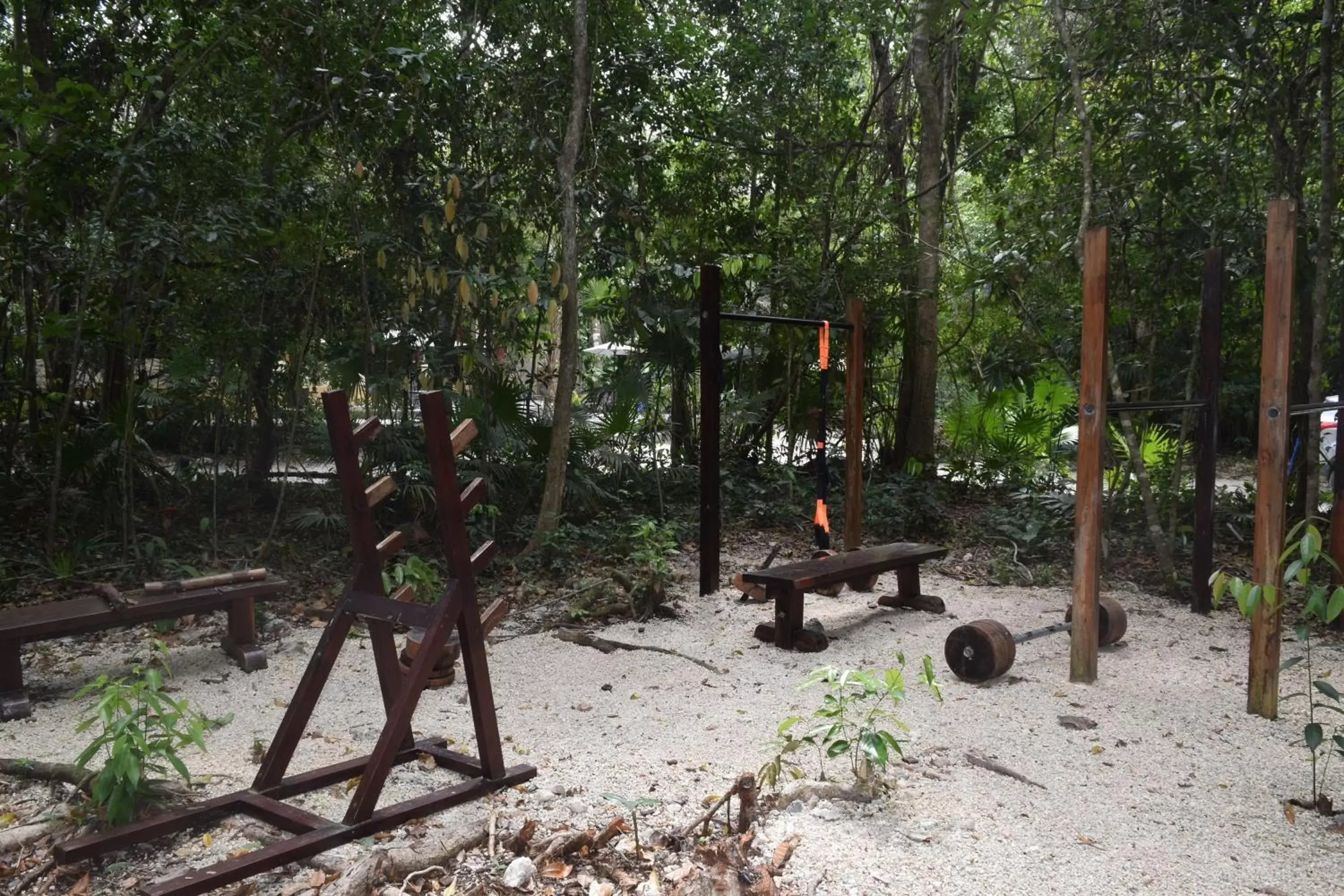 Fitness centre/facilities, Other Animals in Jolie Jungle Eco Hotel
