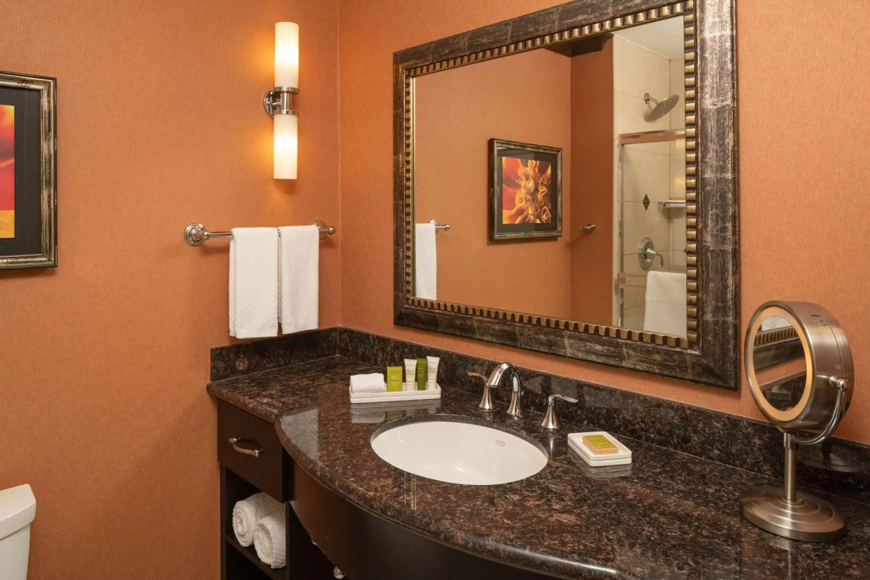 Bathroom in Hilton Dallas/Rockwall Lakefront Hotel