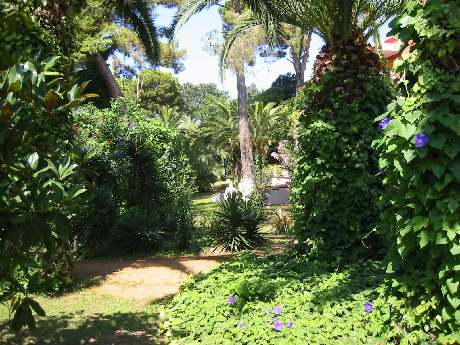 Day, Garden in Hotel Parco Dei Principi