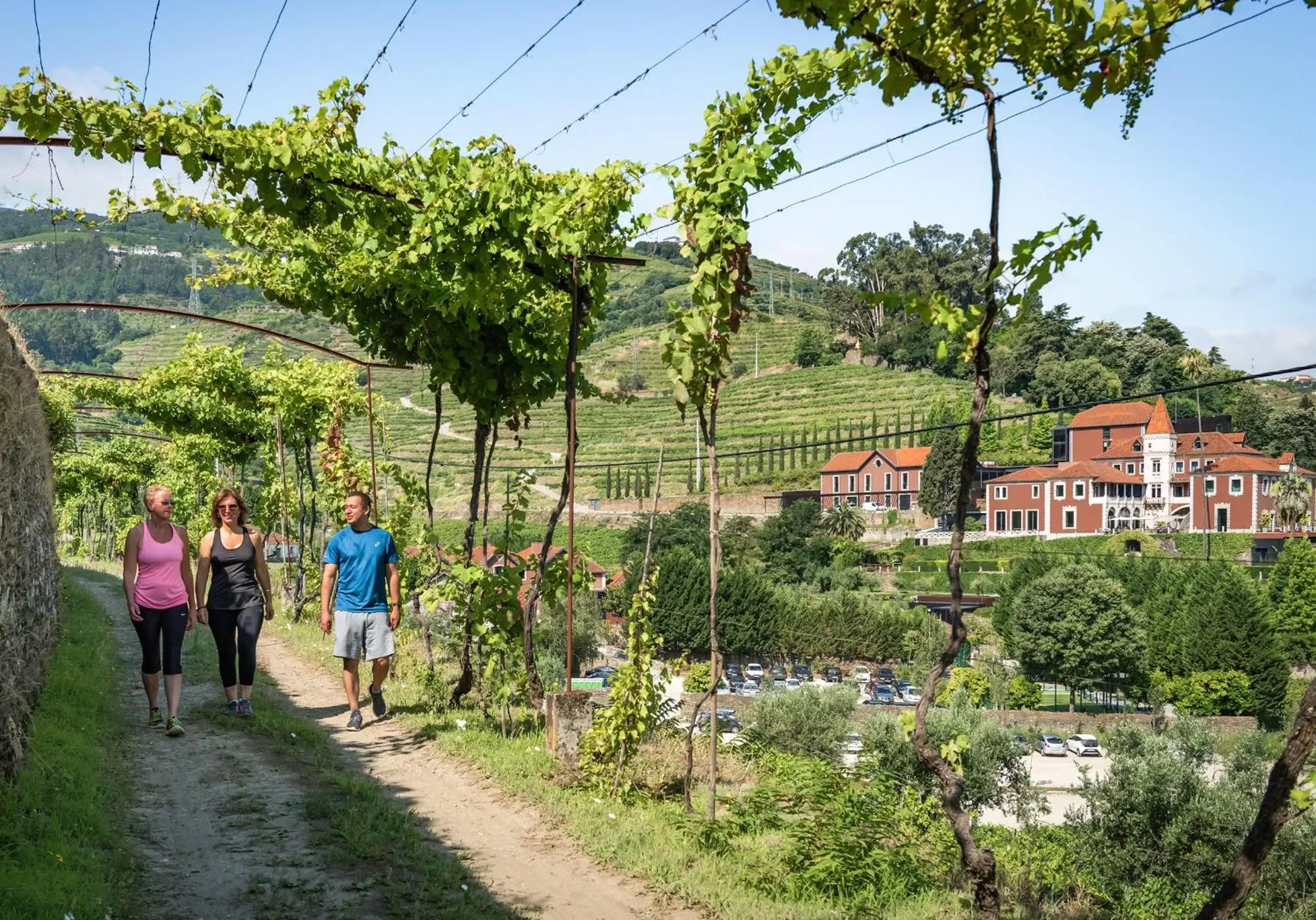 Activities in Six Senses Douro Valley
