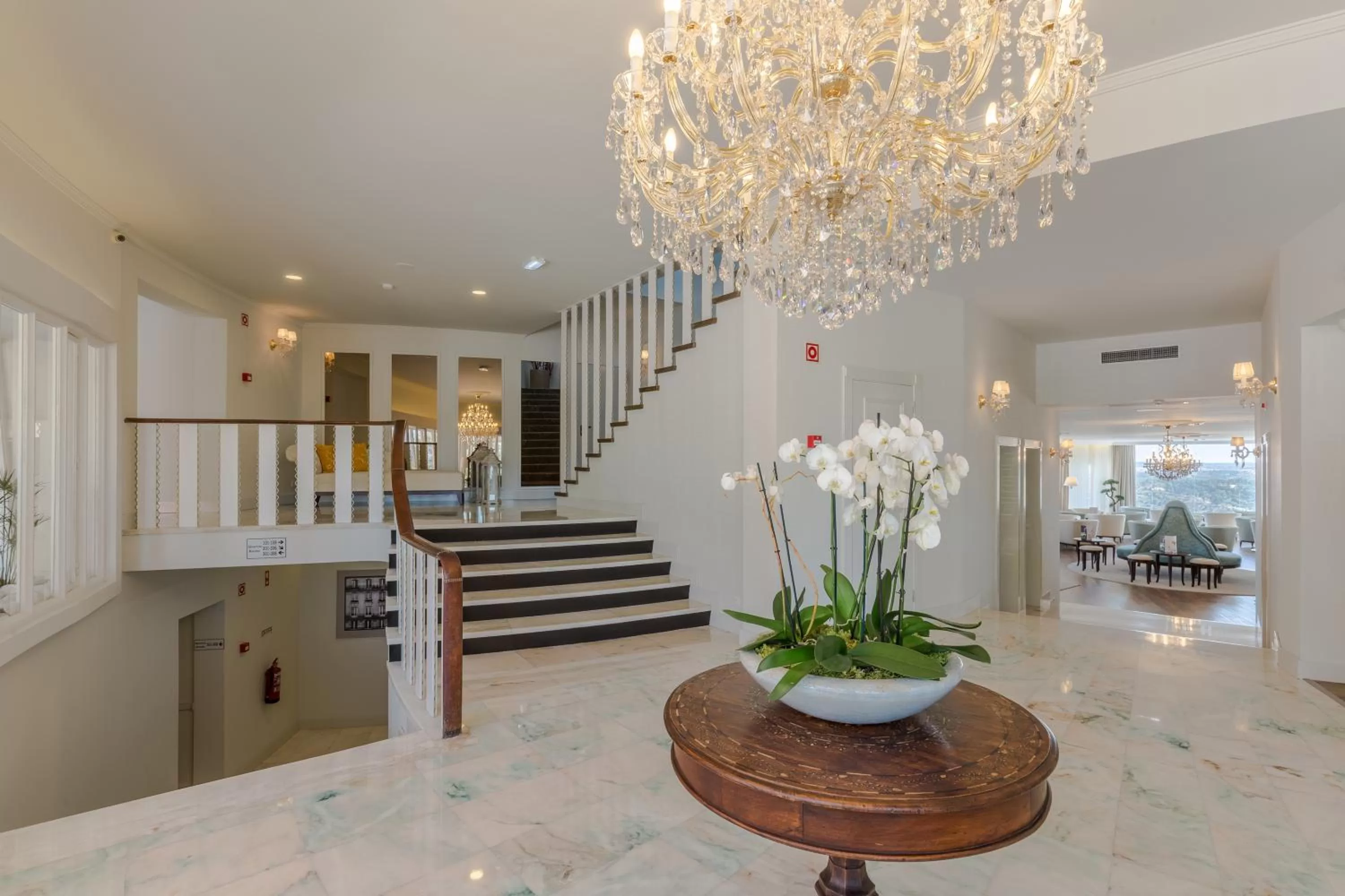 Area and facilities in Luna Hotel Turismo