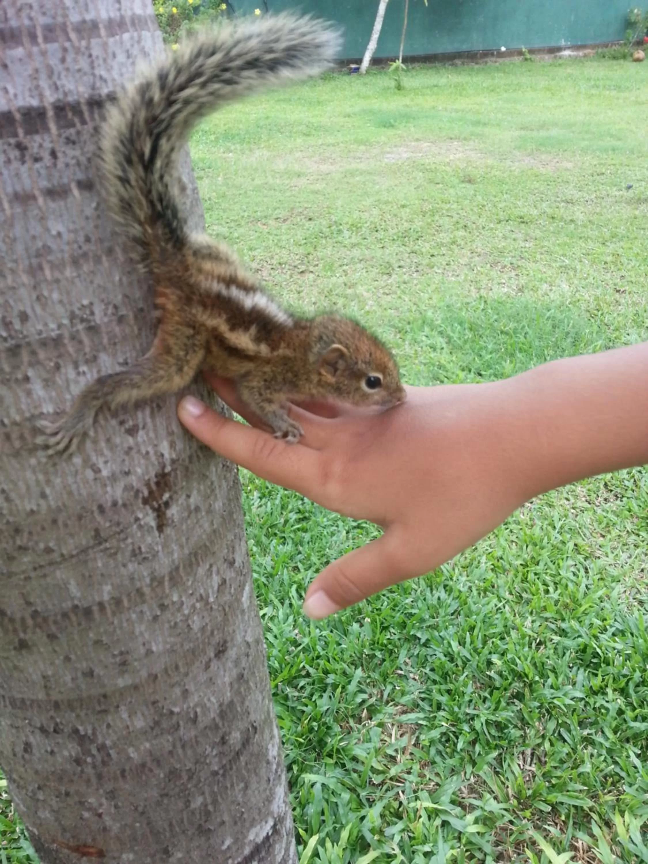 Other in Weligama Ocean Breeze