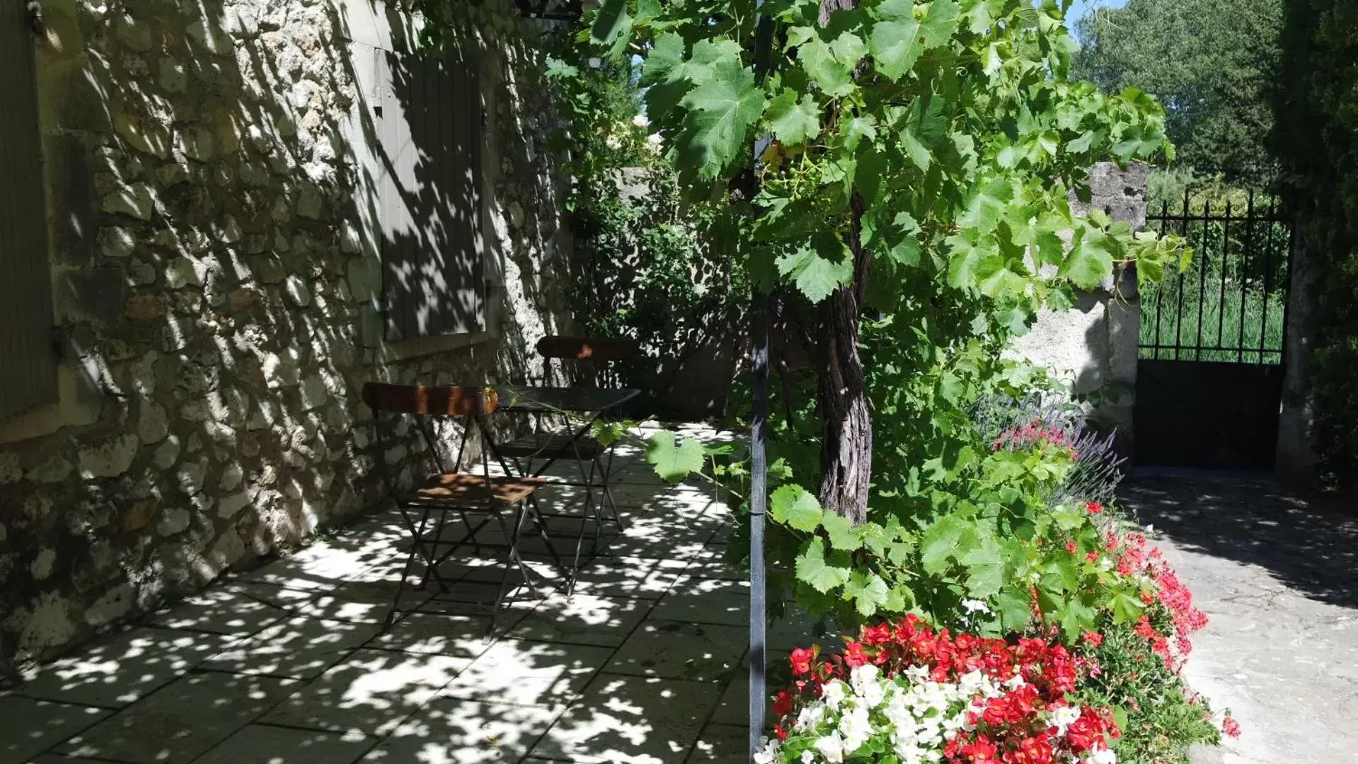 Garden in Mas Grimaud - Gîte- Studio et chambres d'hôtes familiales