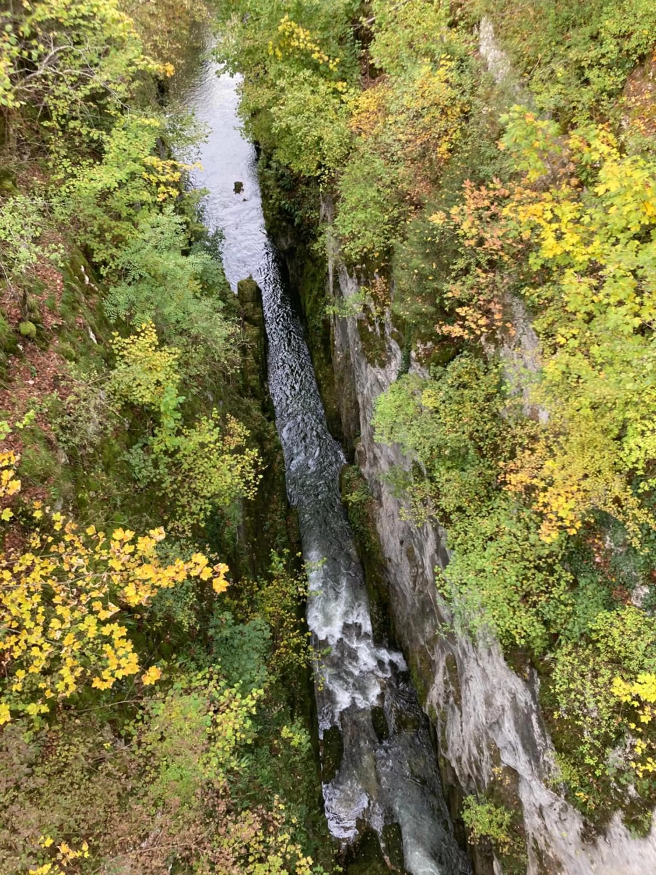 Nearby landmark in Hôtel En Tilleul