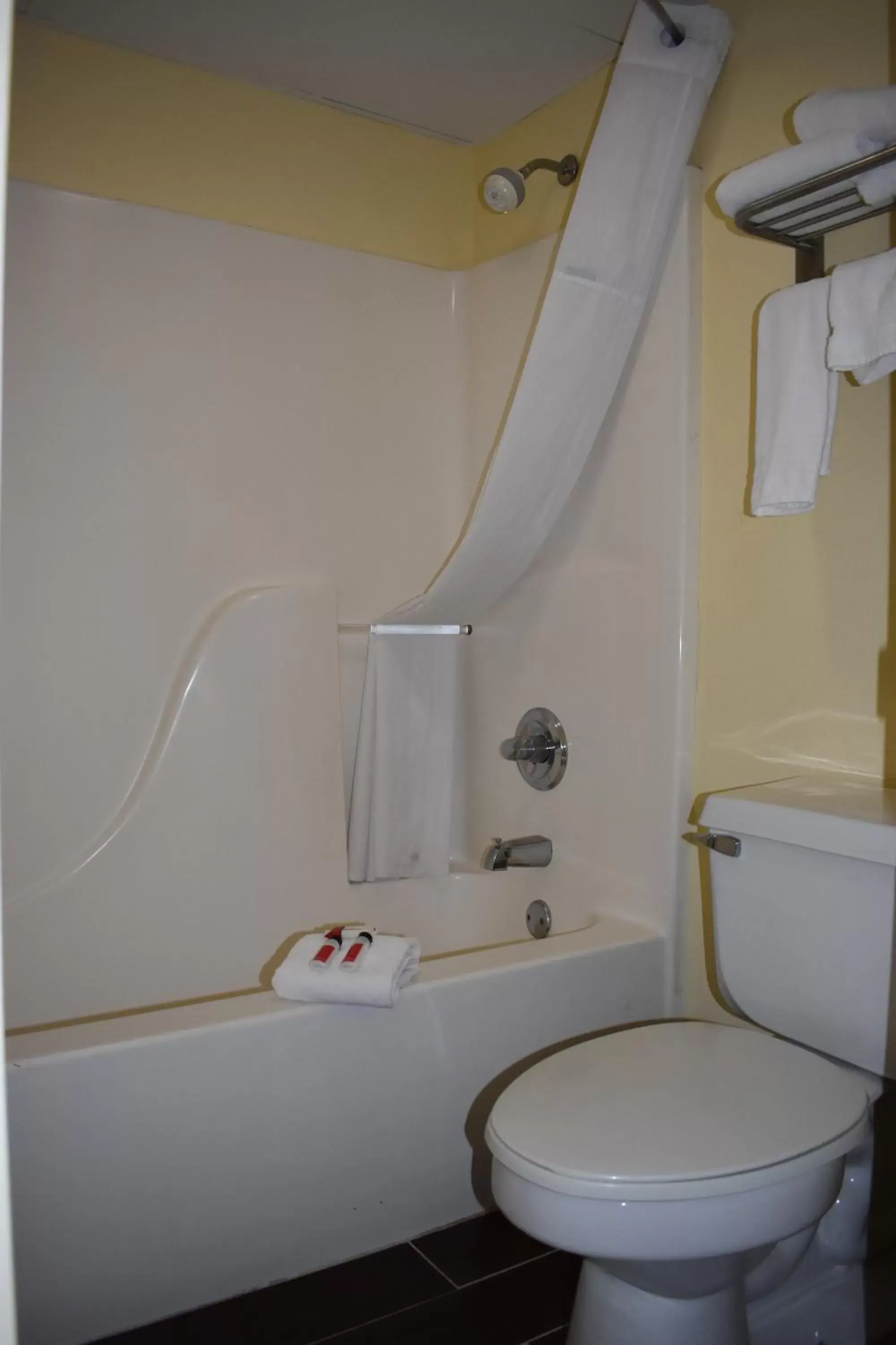 Bathroom in Days Inn by Wyndham Kodak/Sevierville Intrstate SmokeyMntns